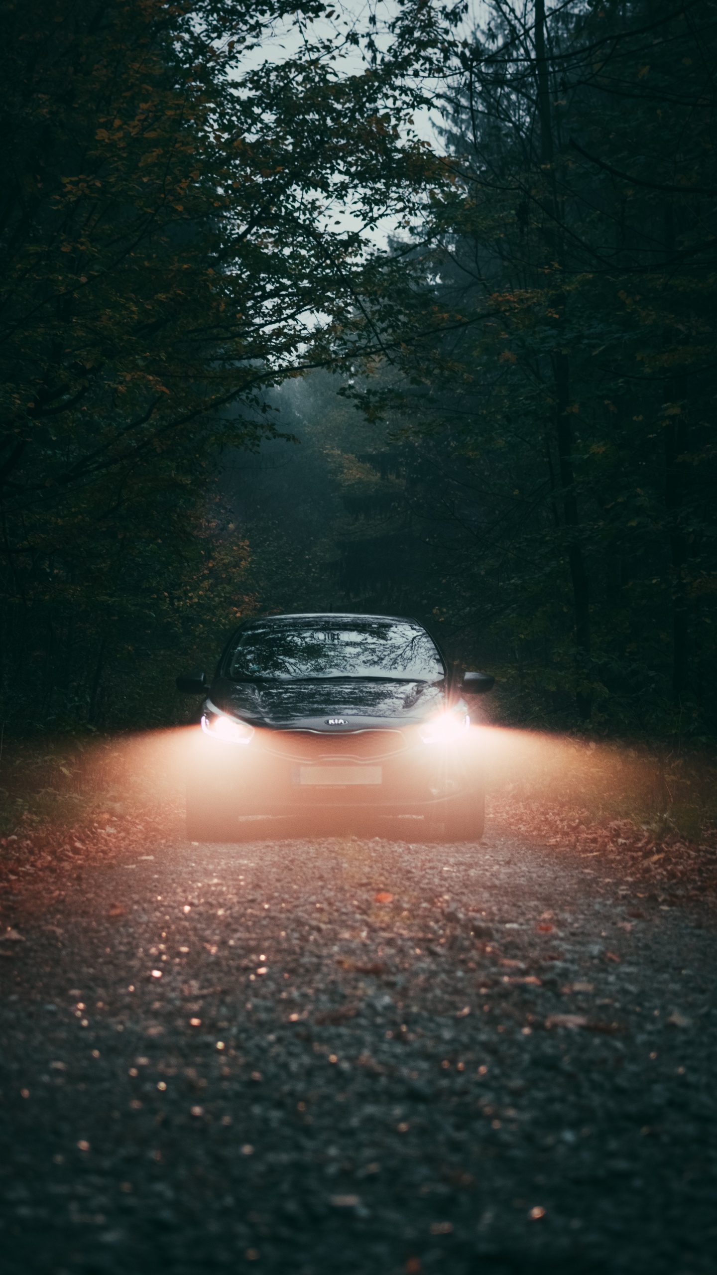 Обои яблоко, ночь, автомобильное освещение, авто, автомобильный экстерьер в разрешении 1440x2560