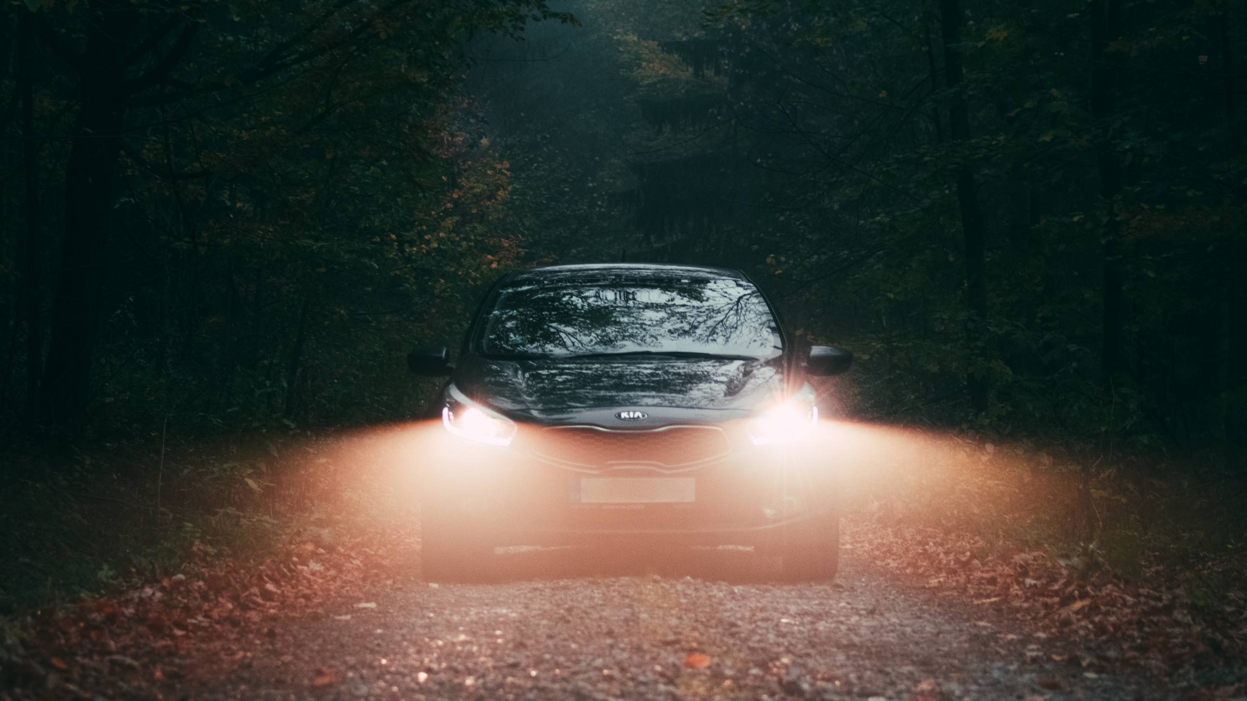 Обои яблоко, ночь, автомобильное освещение, авто, автомобильный экстерьер в разрешении 2560x1440