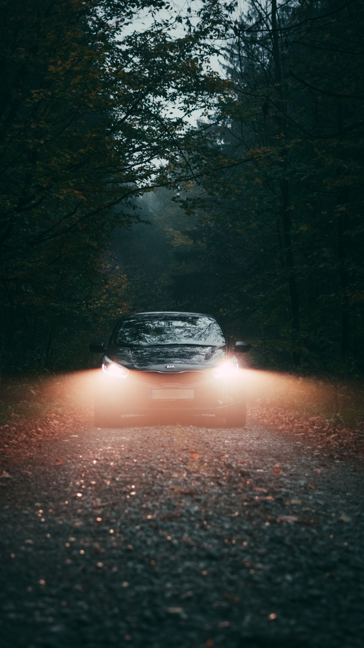 Обои яблоко, ночь, автомобильное освещение, авто, автомобильный экстерьер в разрешении 750x1334