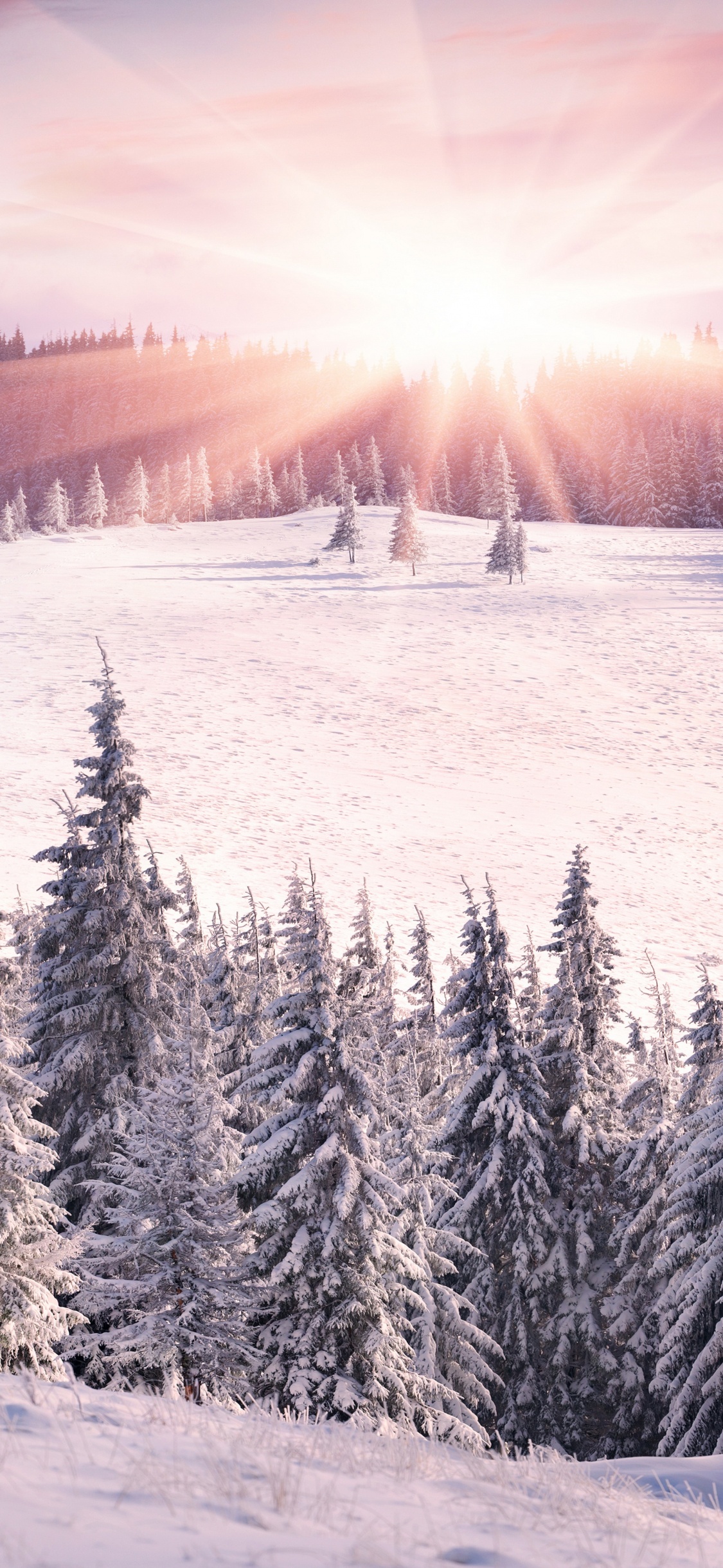 Обои зима, снег, гора, дерево, горный рельеф в разрешении 1125x2436