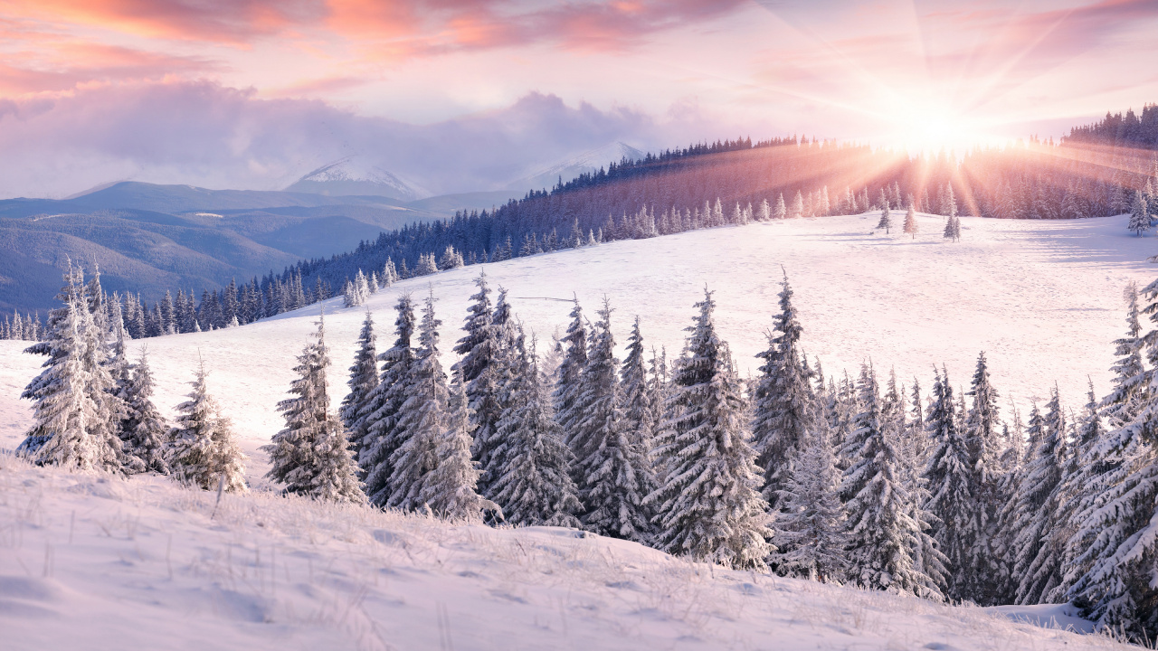 Обои зима, снег, гора, дерево, горный рельеф в разрешении 1280x720