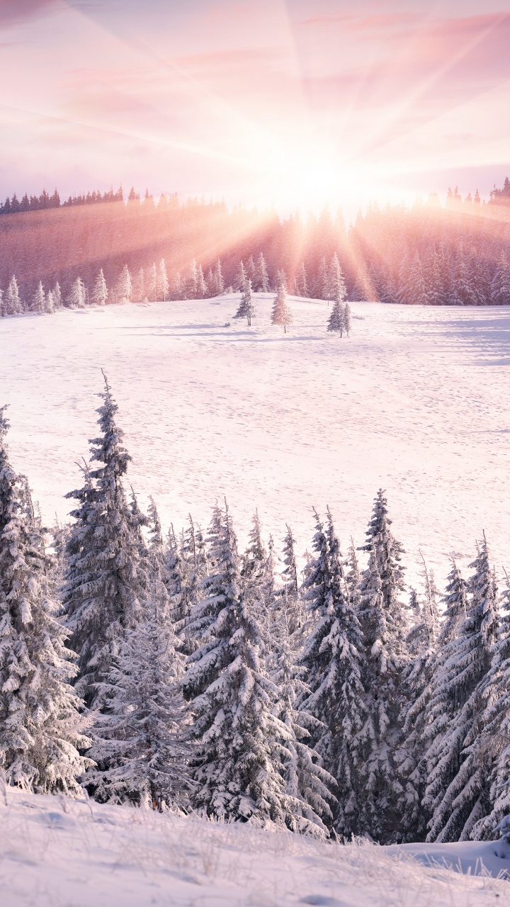 Обои зима, снег, гора, дерево, горный рельеф в разрешении 720x1280