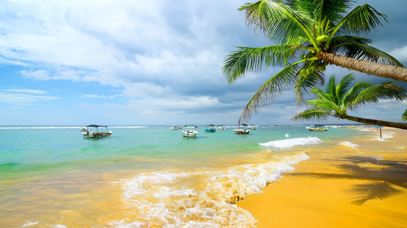 Обои пляж, море, тропическая зона, берег, океан в разрешении 1366x768