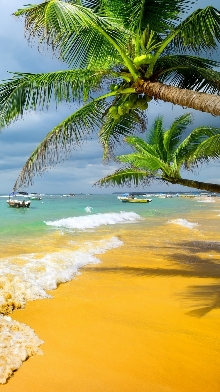Обои пляж, море, тропическая зона, берег, океан в разрешении 750x1334