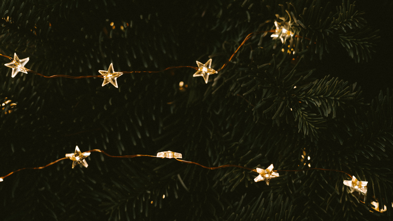 Обои узор, ночь, космос, дизайн, ветвь в разрешении 1280x720