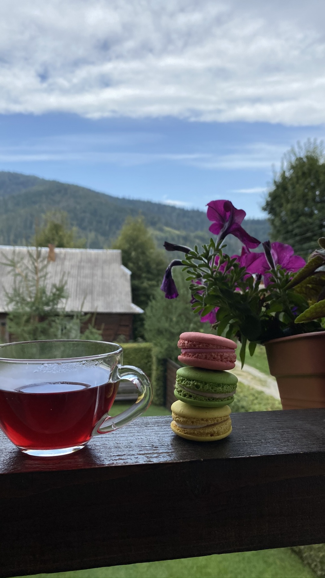 Обои цветок, цветочный горшок, наука, физика, serveware в разрешении 1080x1920