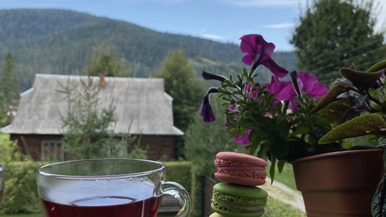 Обои цветок, цветочный горшок, наука, физика, serveware в разрешении 1280x720