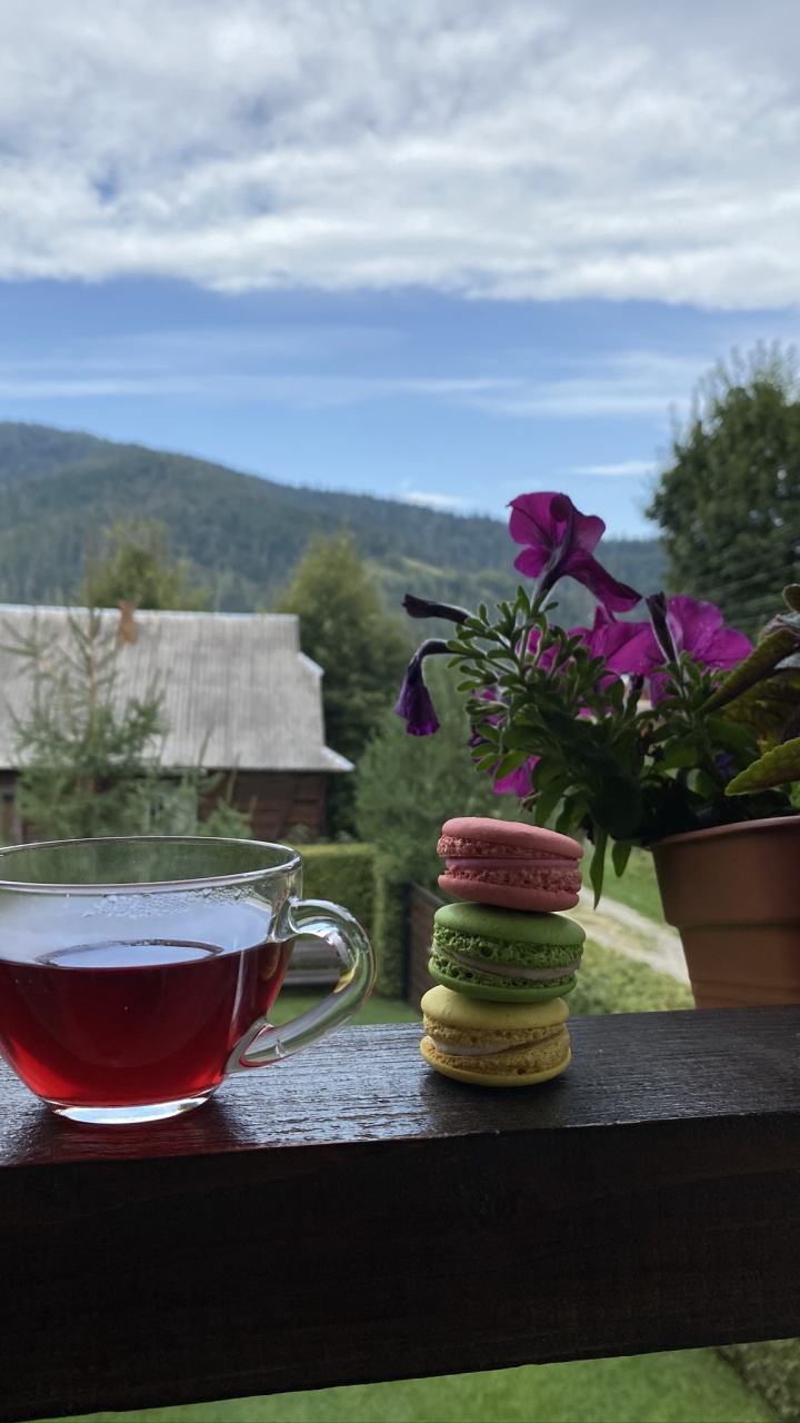 Обои цветок, цветочный горшок, наука, физика, serveware в разрешении 720x1280