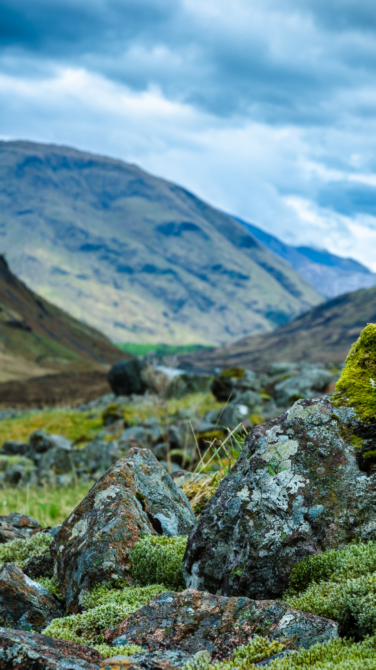 Обои Озеро Тэнно, общество, облако, растение, гора в разрешении 750x1334