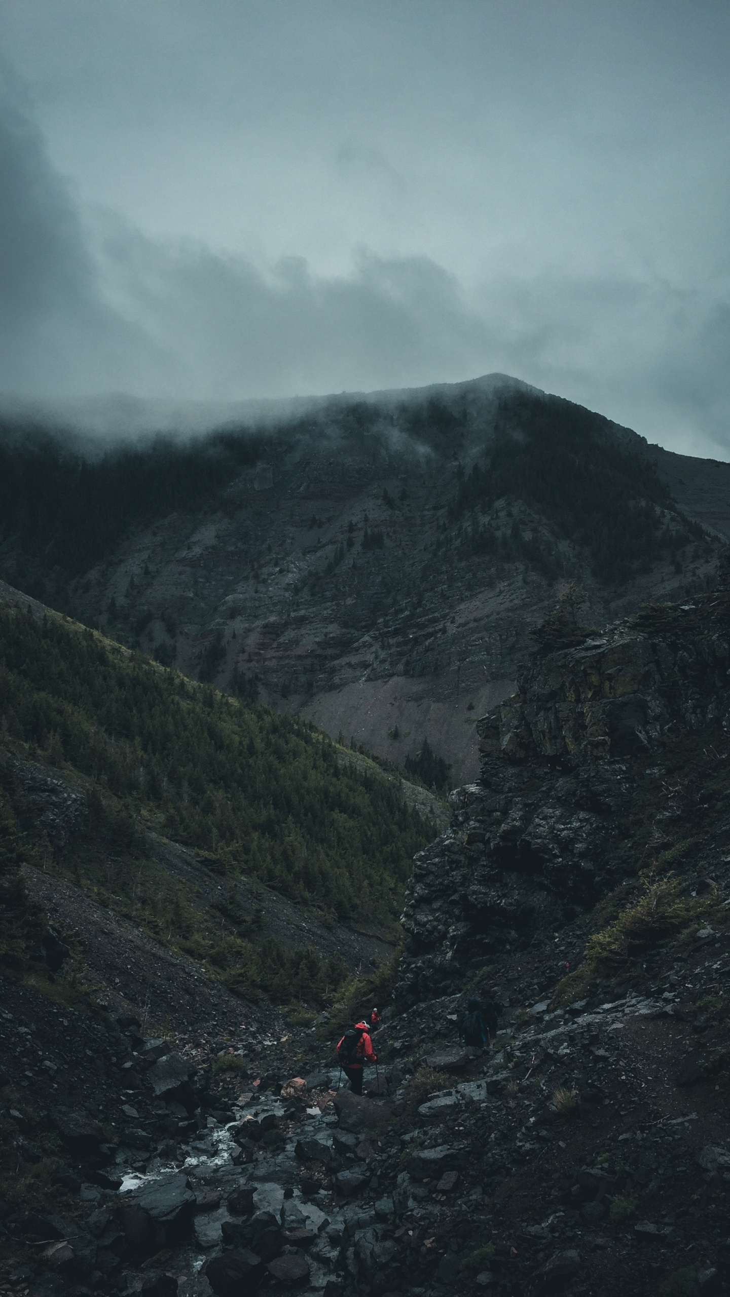 Обои горный рельеф, нагорье, хребет, горная станция, облако в разрешении 1440x2560