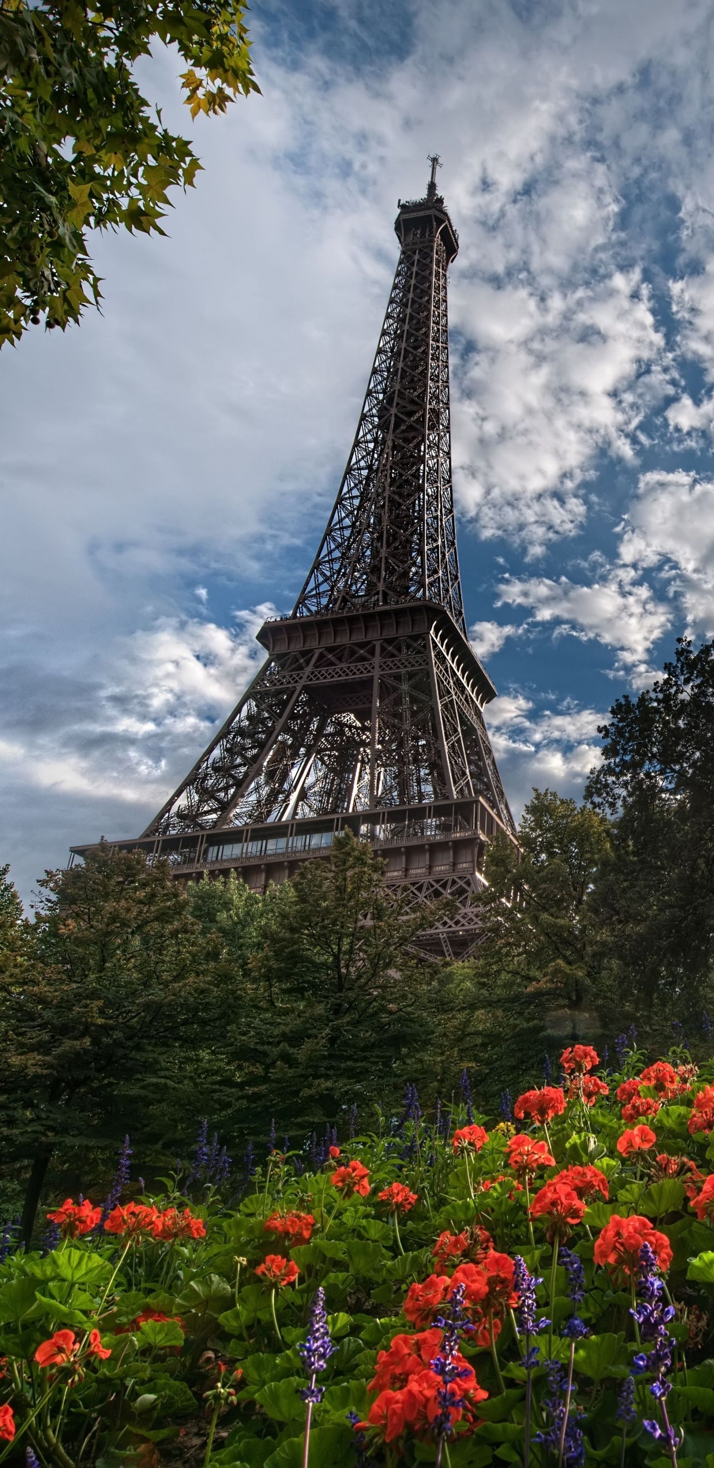 Обои Эйфелева башня, природа, облако, ориентир, дерево в разрешении 1440x2960