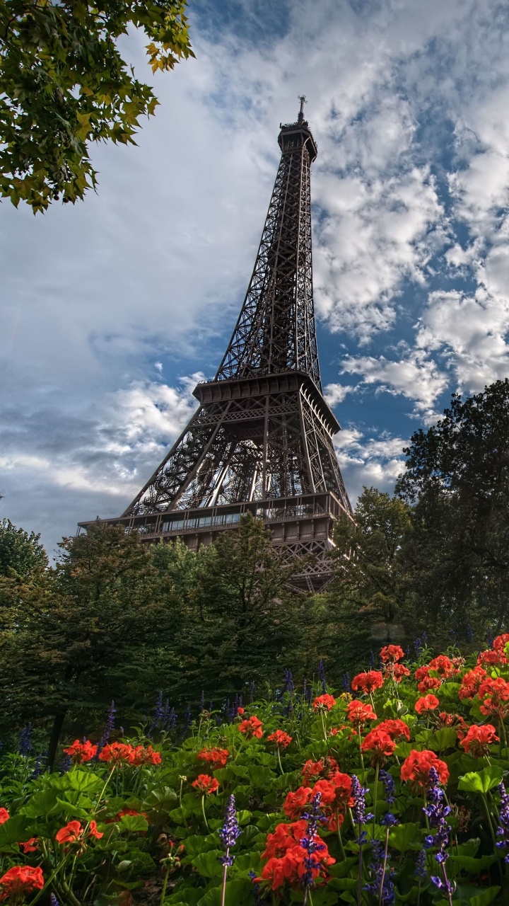 Обои Эйфелева башня, природа, облако, ориентир, дерево в разрешении 720x1280