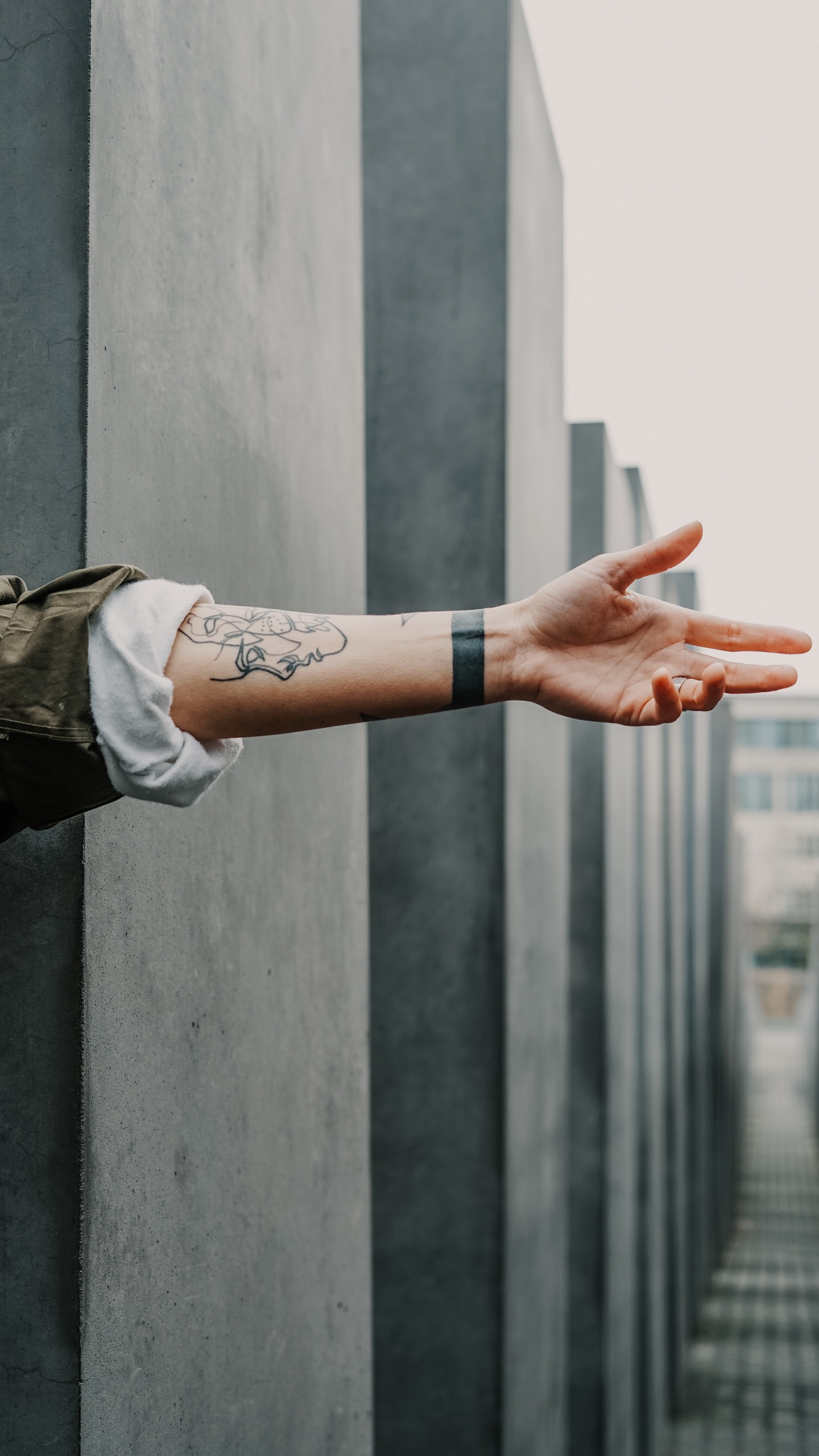 Обои тату, рука, рукав татуировки, хны, кожа в разрешении 1440x2560