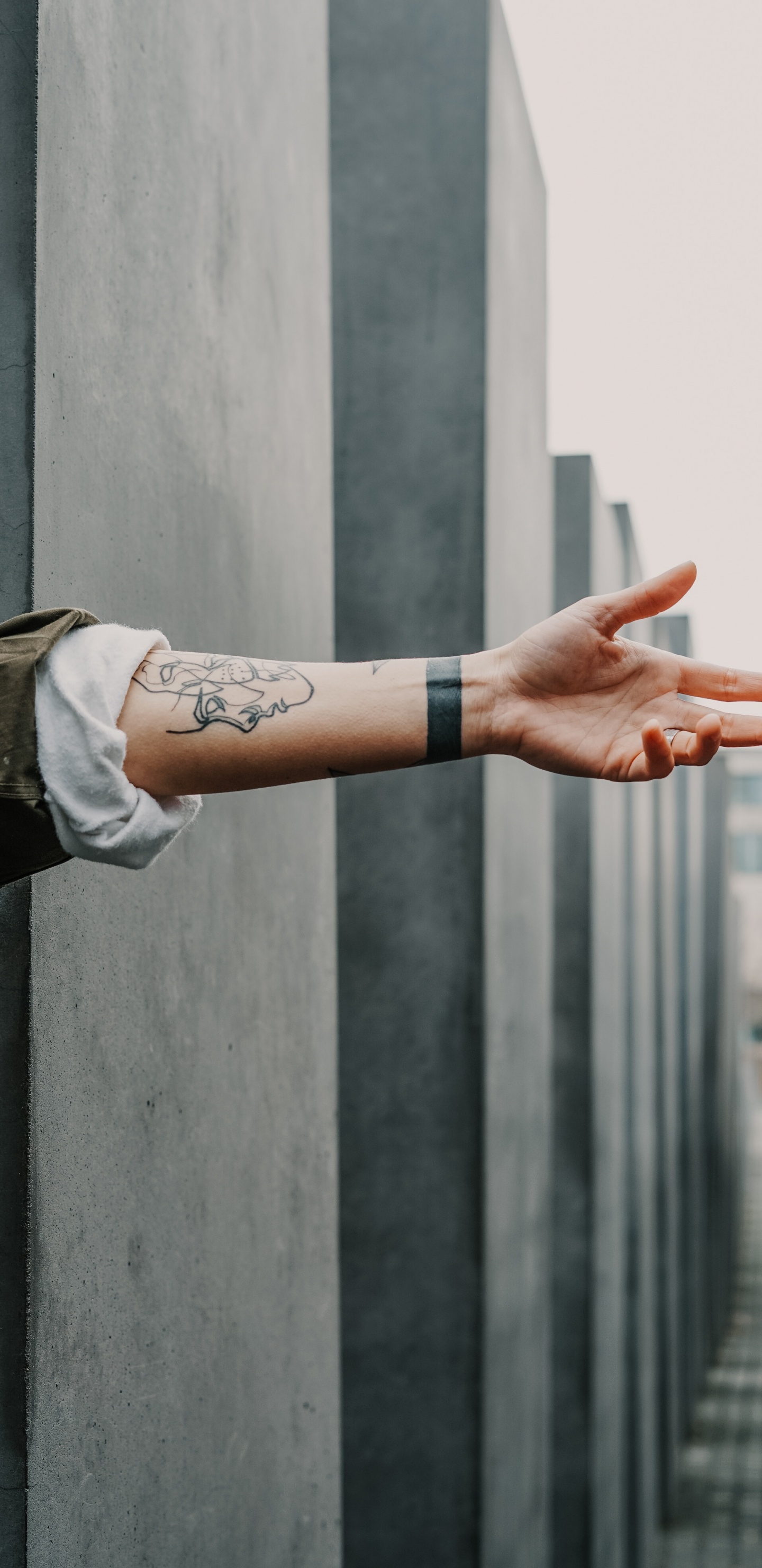 Обои тату, рука, рукав татуировки, хны, кожа в разрешении 1440x2960