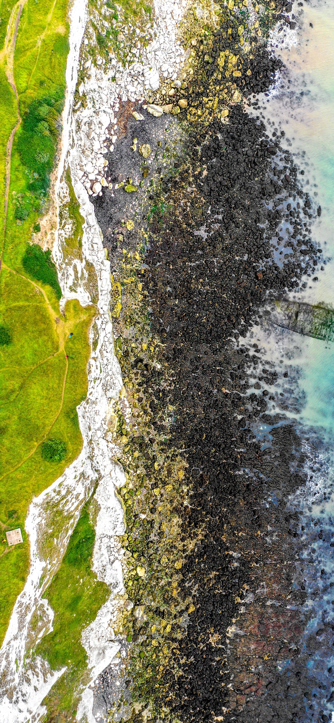 Обои живопись, измеритель, гидроресурсы, дерево, Каноэ Береза в разрешении 1125x2436