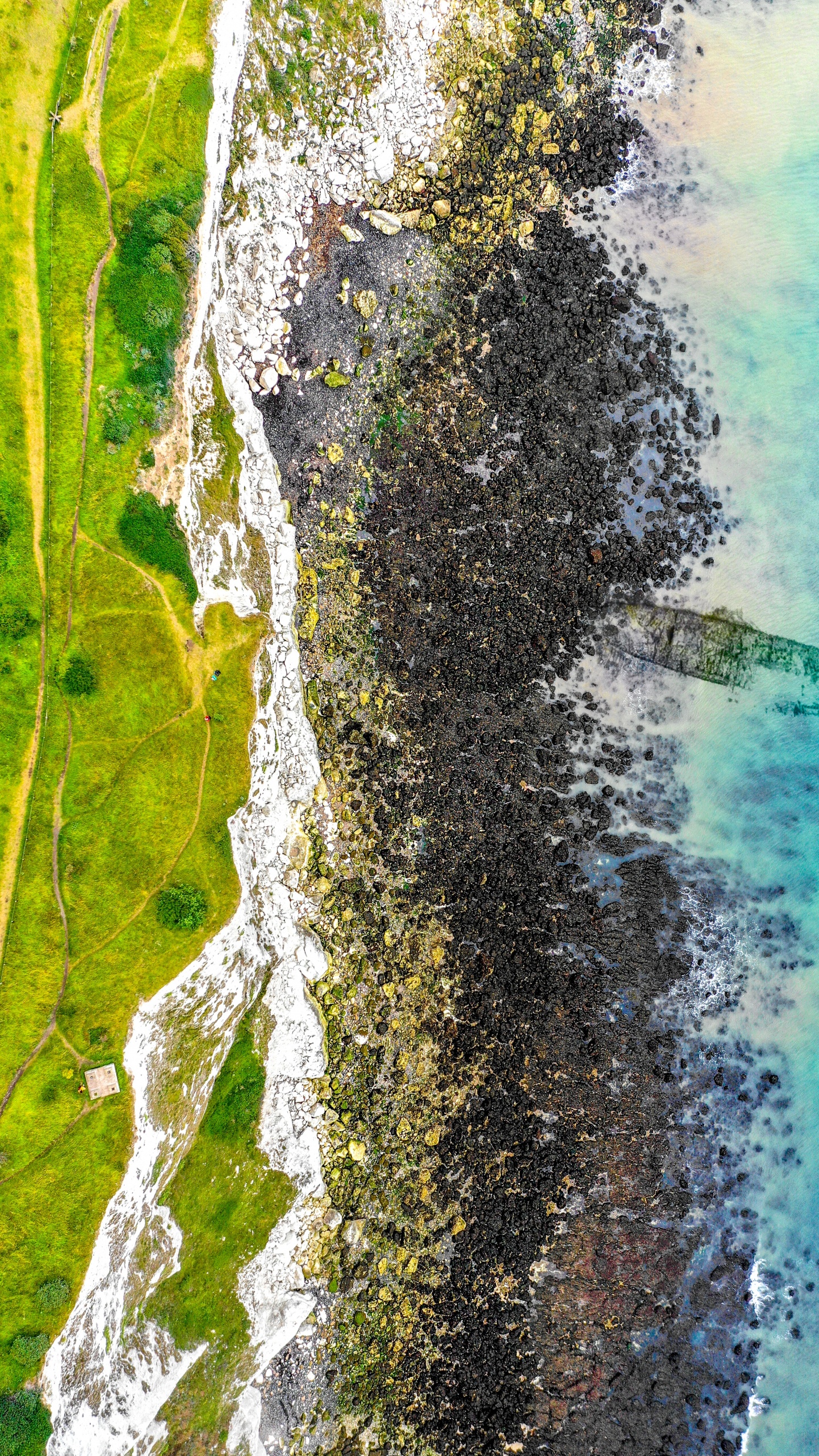 Обои живопись, измеритель, гидроресурсы, дерево, Каноэ Береза в разрешении 1440x2560