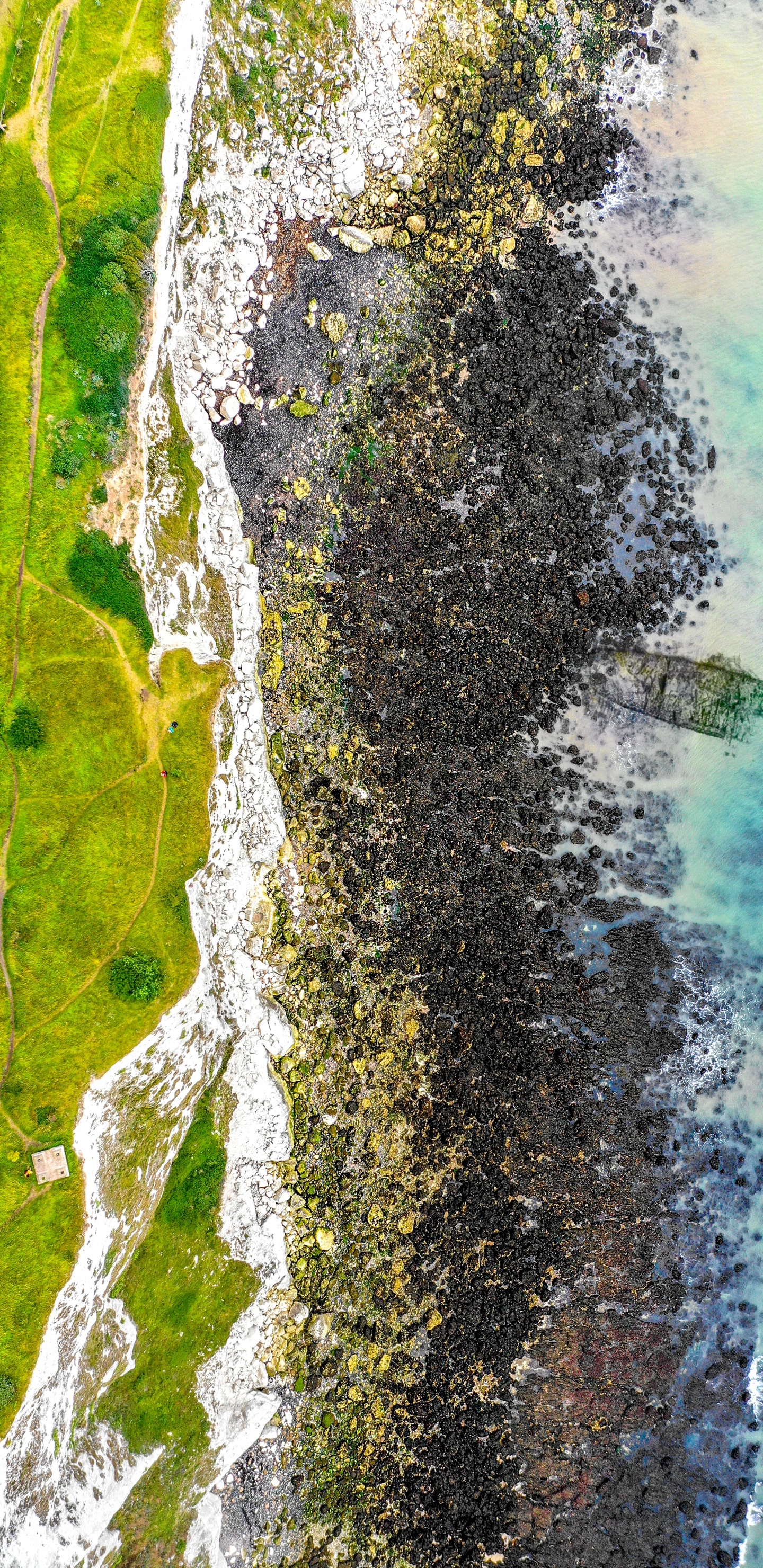 Обои живопись, измеритель, гидроресурсы, дерево, Каноэ Береза в разрешении 1440x2960