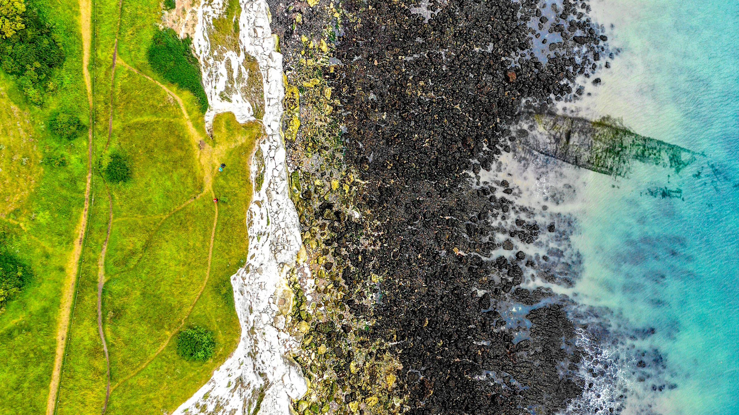 Обои живопись, измеритель, гидроресурсы, дерево, Каноэ Береза в разрешении 2560x1440