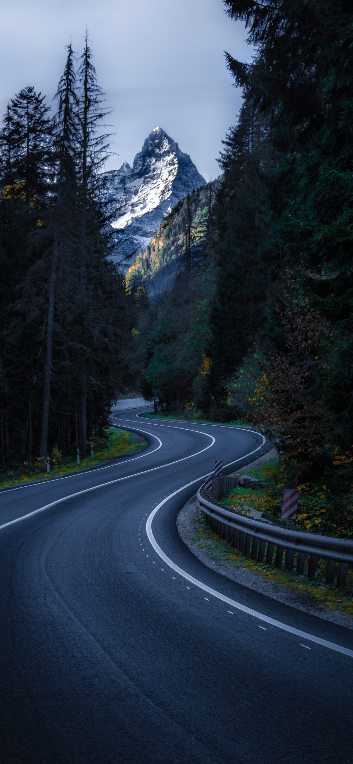 Обои инфраструктура, дерево, гора, Домбай, дорога в разрешении 1125x2436