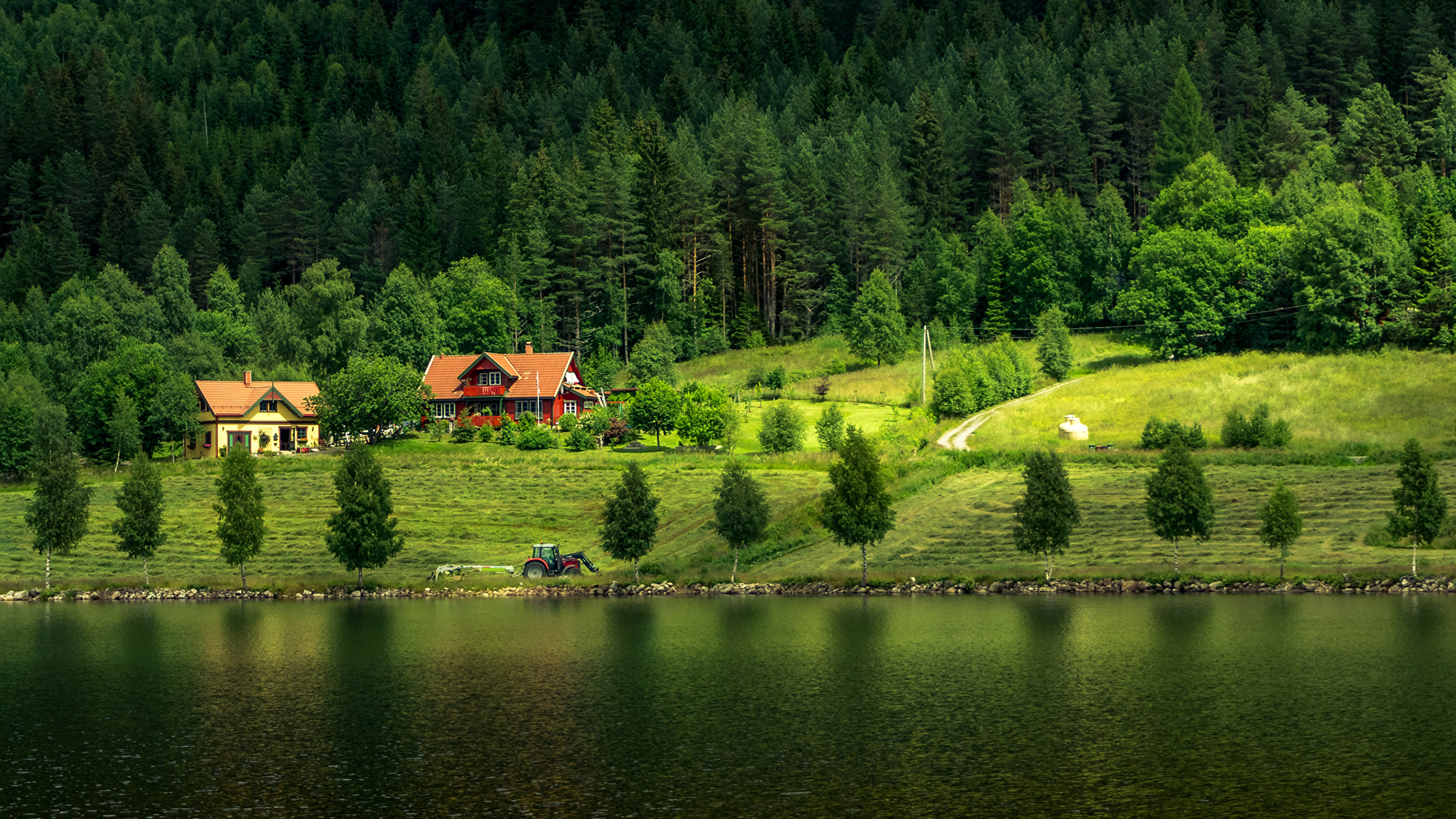 Обои природа, коттедж, Хаус, зеленый, дикая местность в разрешении 2560x1440