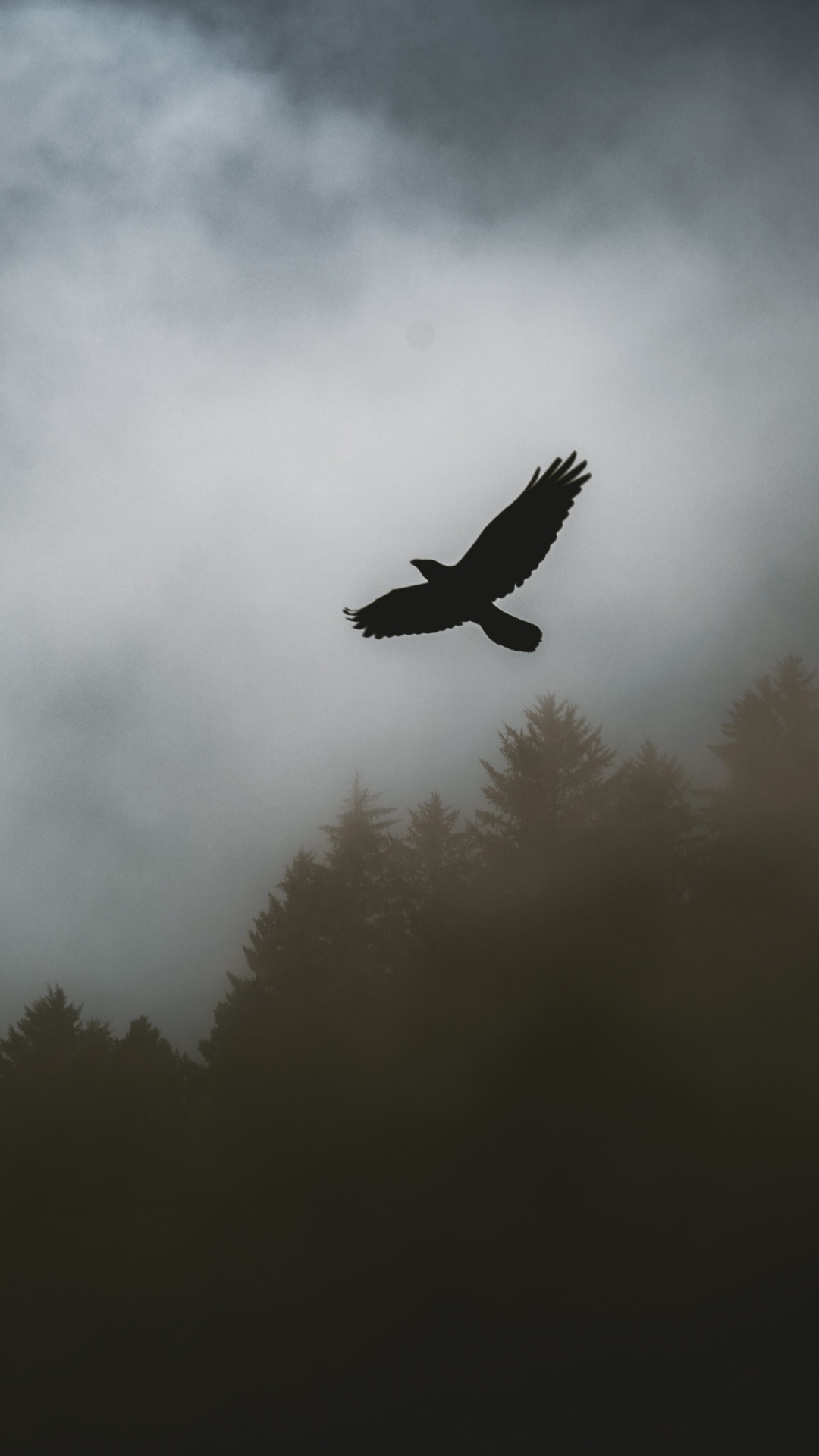 Обои облако, крыло, птица, атмосфера, туман в разрешении 1080x1920