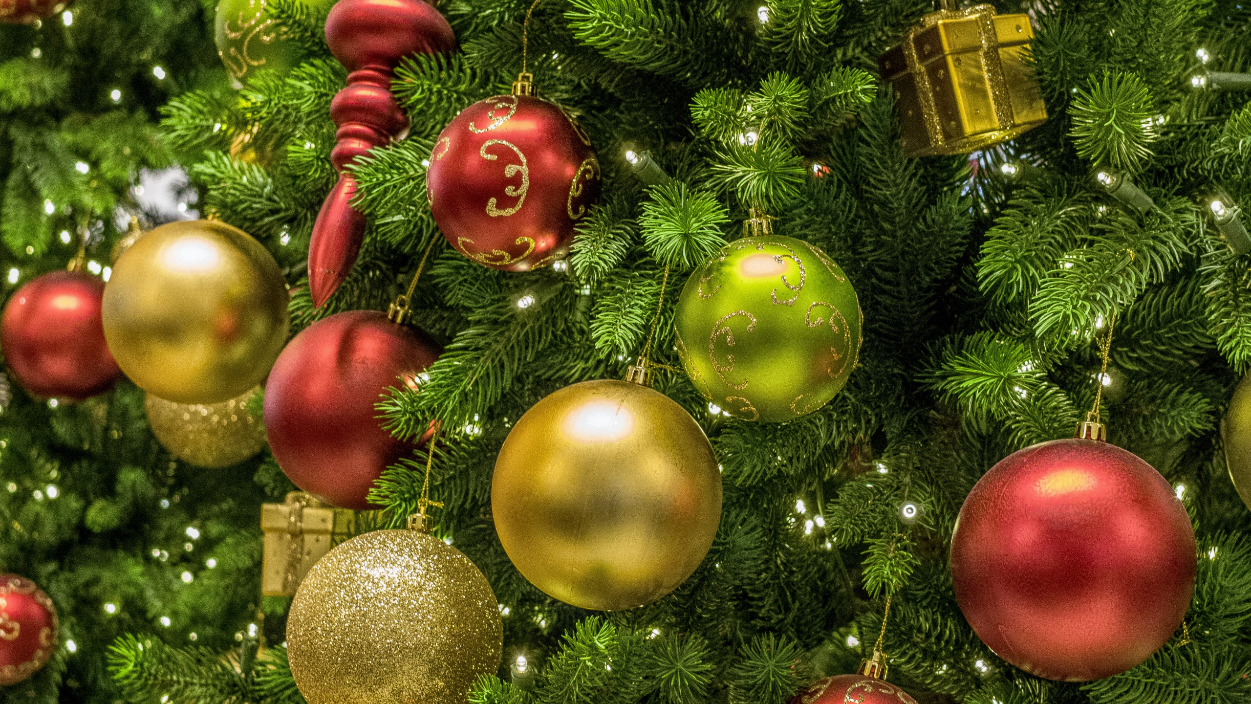 Обои елка, Рождественский день, Рождественские украшения, рождественский орнамент, Новый год в разрешении 2560x1440
