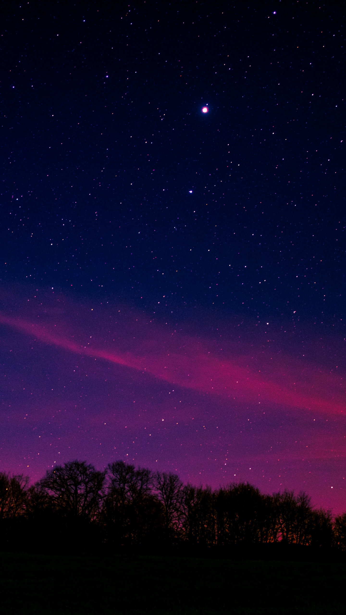 Обои Аврора, ночь, атмосфера, горизонт, пурпур в разрешении 1440x2560