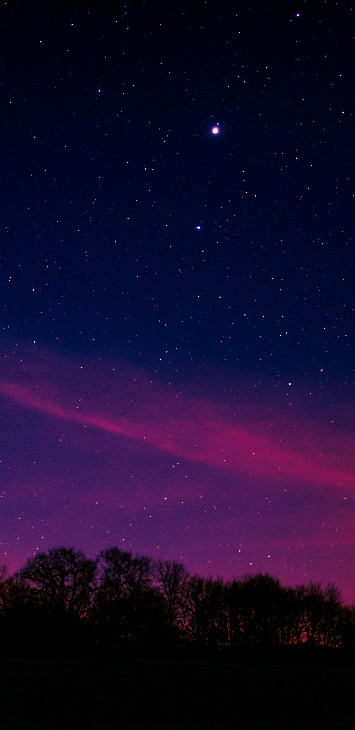 Обои Аврора, ночь, атмосфера, горизонт, пурпур в разрешении 1440x2960