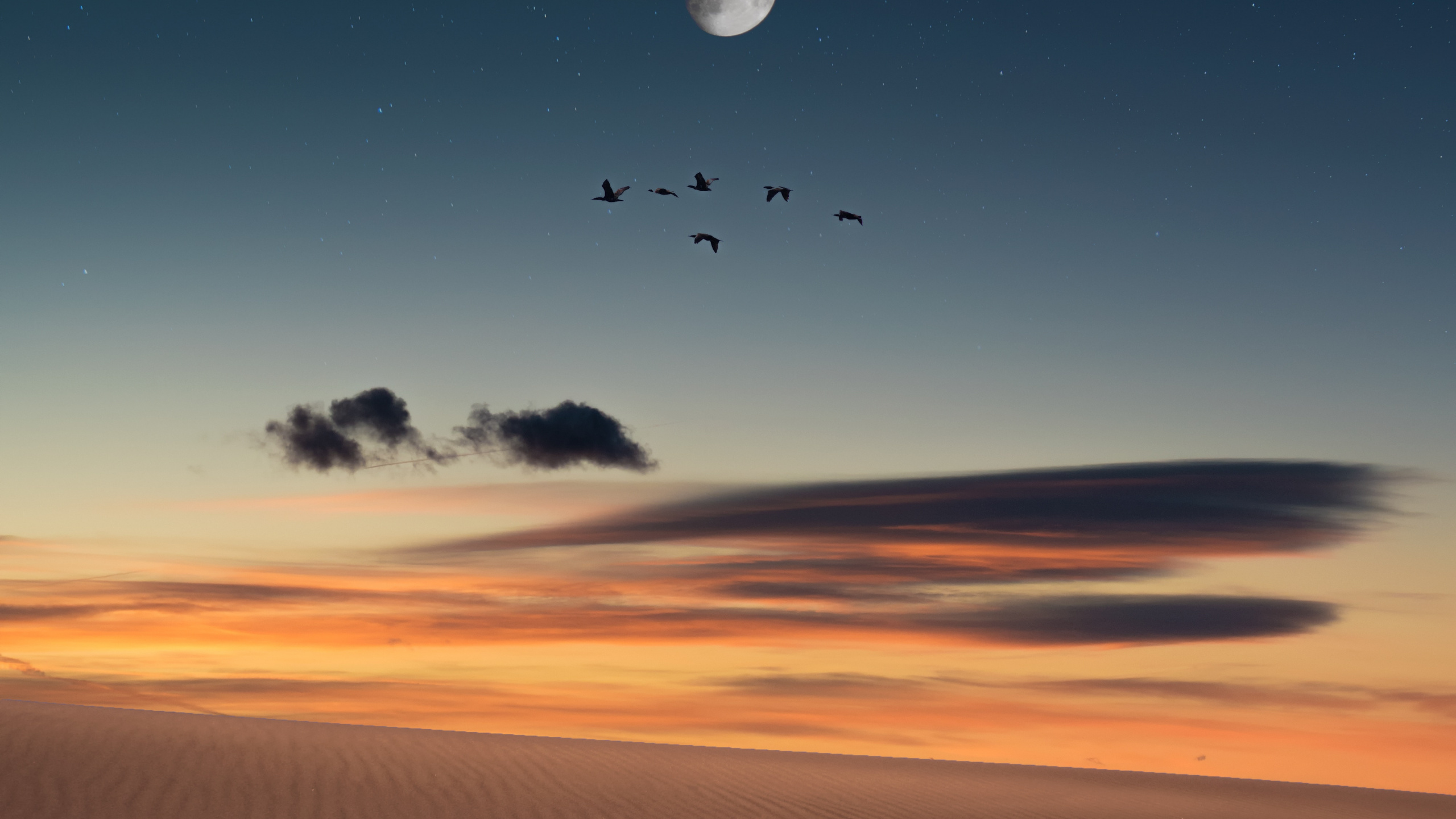 Обои горизонт, окружающая среда, облако, песок, небо в разрешении 2560x1440