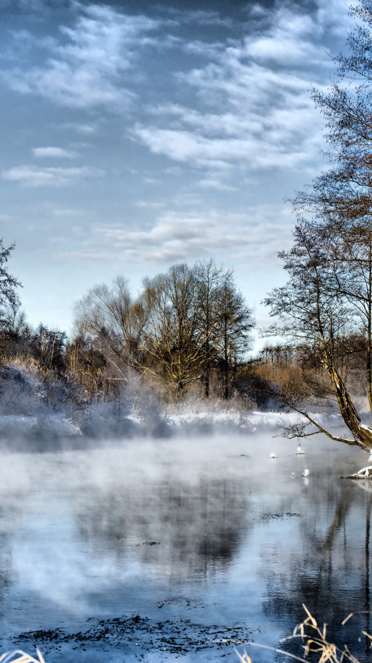 Обои зима, природа, вода, снег, замораживание в разрешении 750x1334