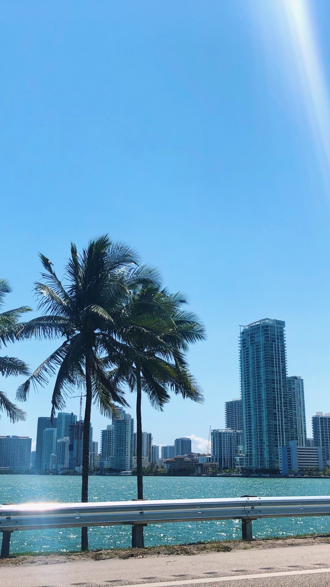 Обои пальмовые рощи, вода, недвижимость, башня, кондоминиум в разрешении 1080x1920