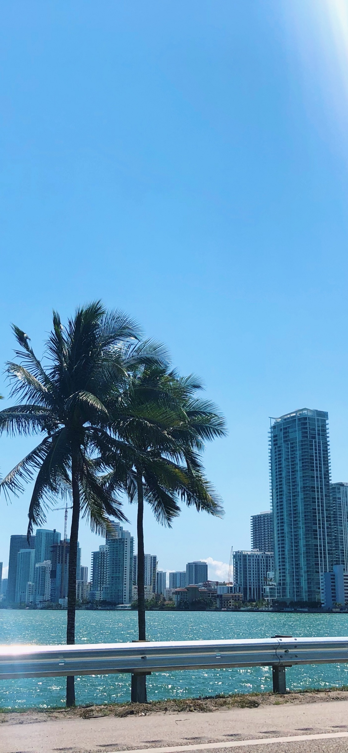 Обои пальмовые рощи, вода, недвижимость, башня, кондоминиум в разрешении 1125x2436