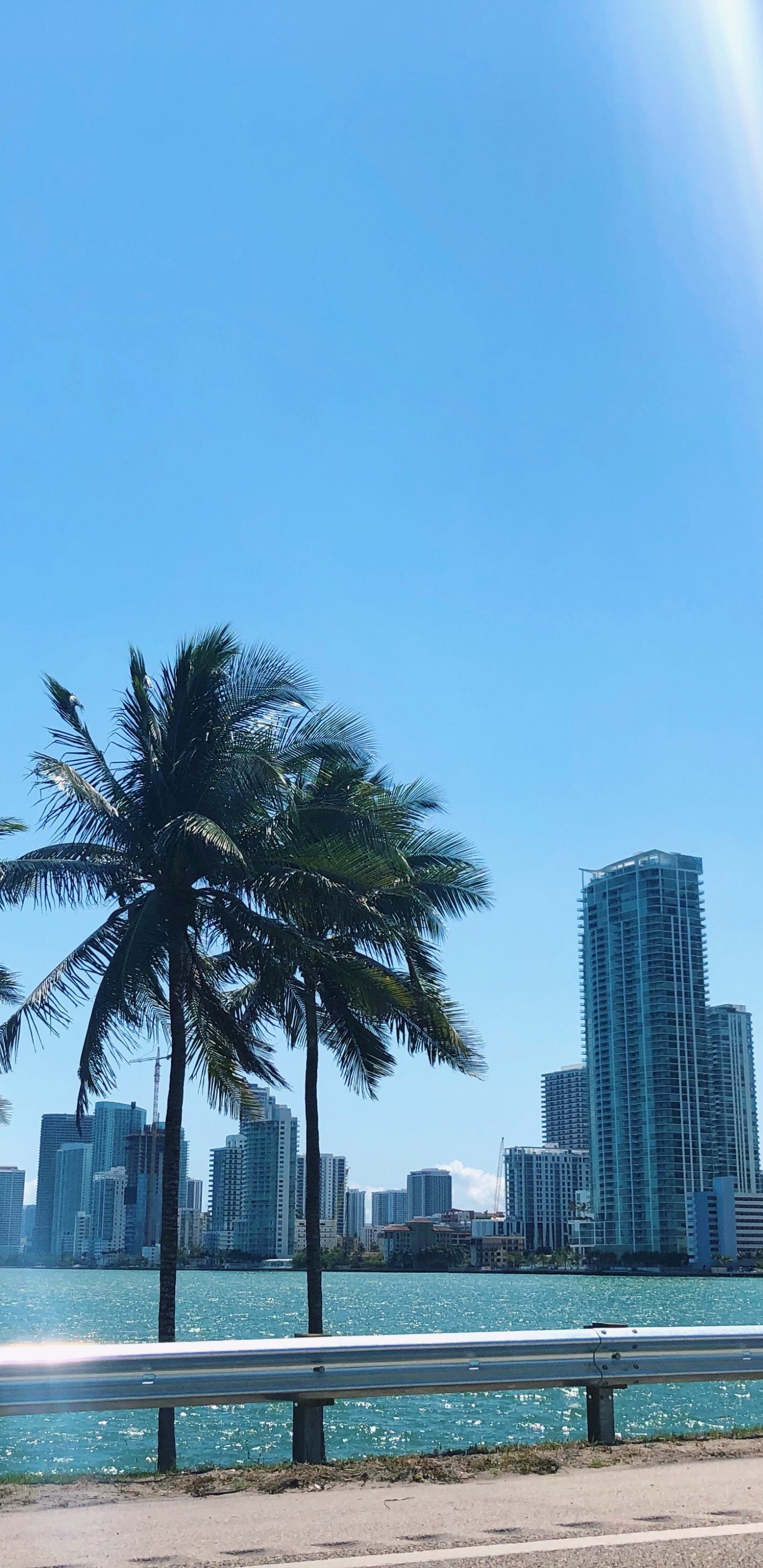 Обои пальмовые рощи, вода, недвижимость, башня, кондоминиум в разрешении 1440x2960