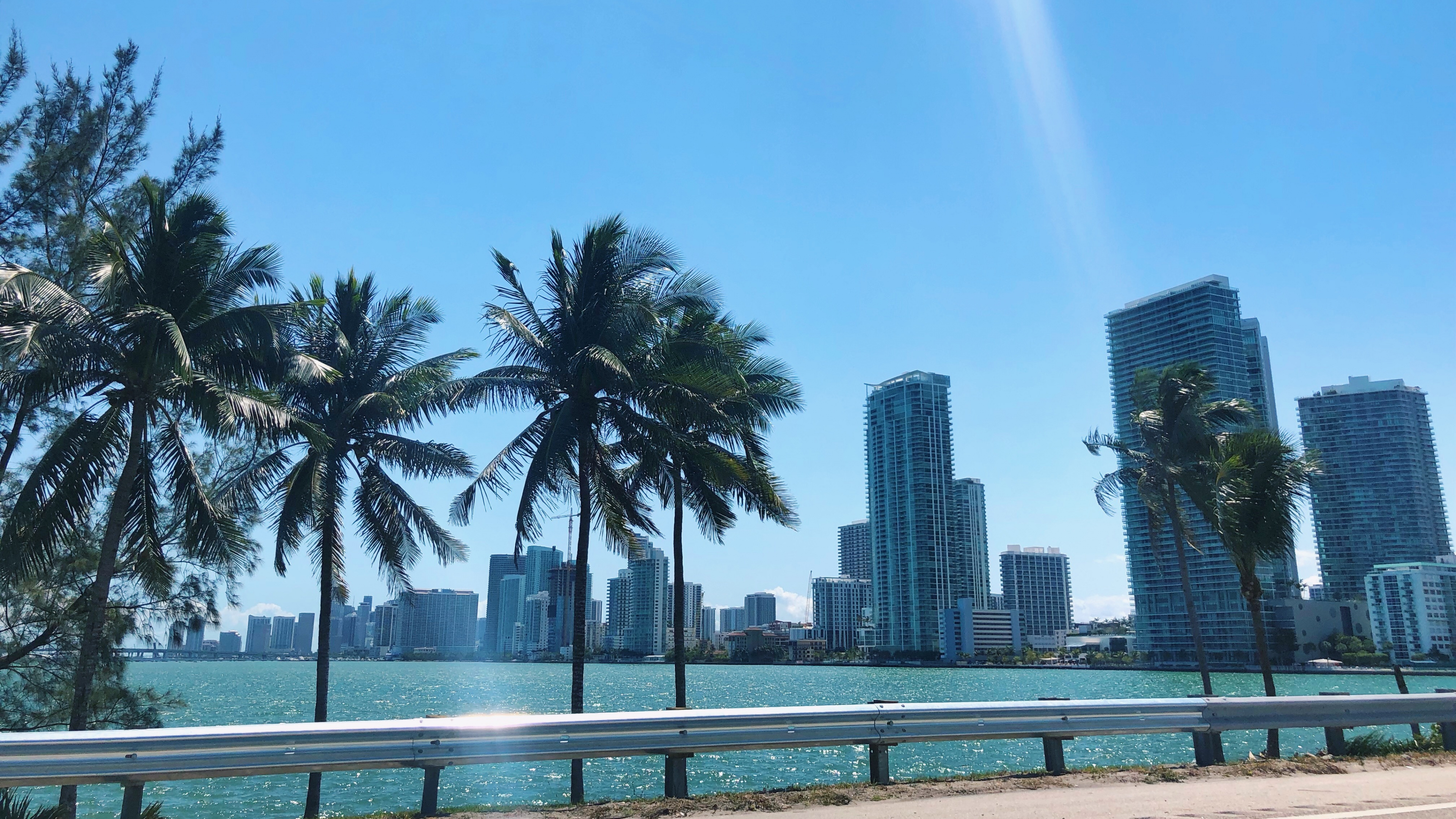 Обои пальмовые рощи, вода, недвижимость, башня, кондоминиум в разрешении 3840x2160