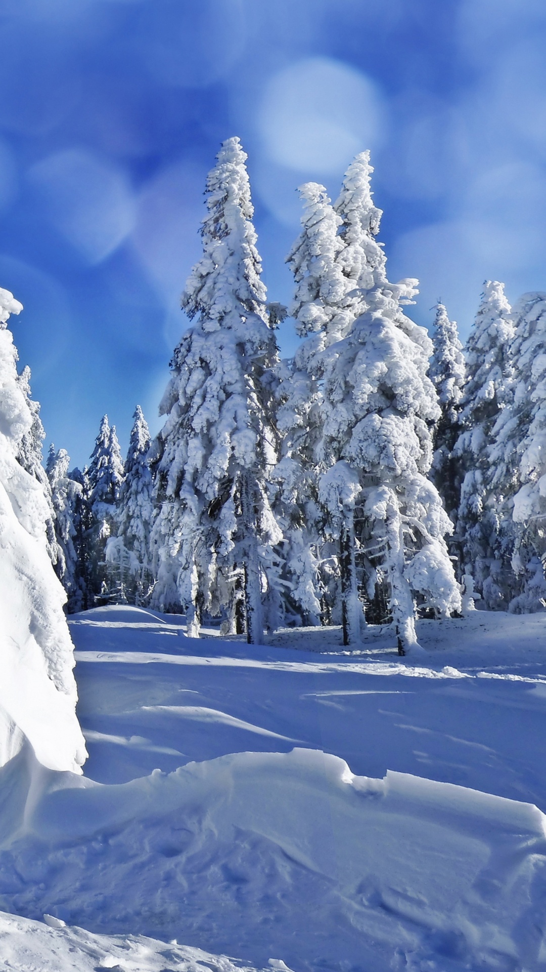 Обои снег, зима, дерево, замораживание, мороз в разрешении 1080x1920