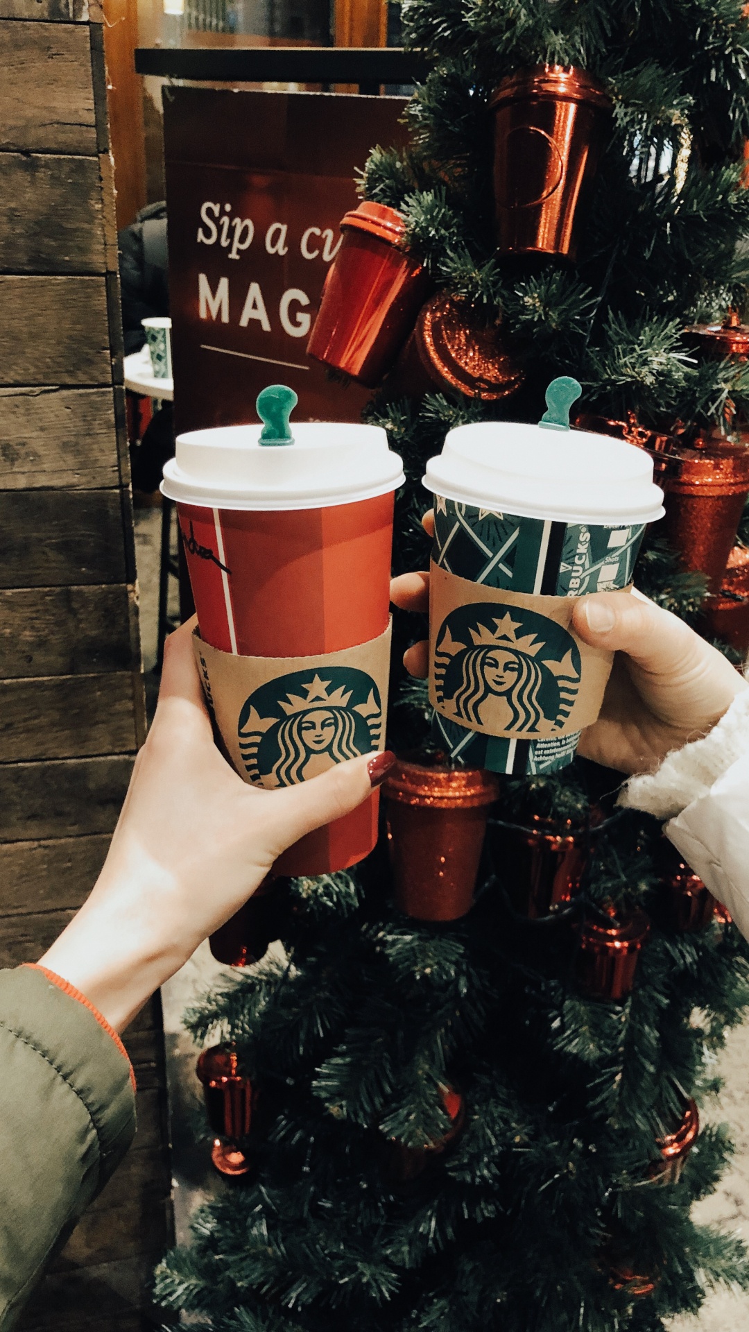 Обои новый логотип starbucks 2011, Рождественский день, Рождественские украшения, цветочный горшок, праздник в разрешении 1080x1920