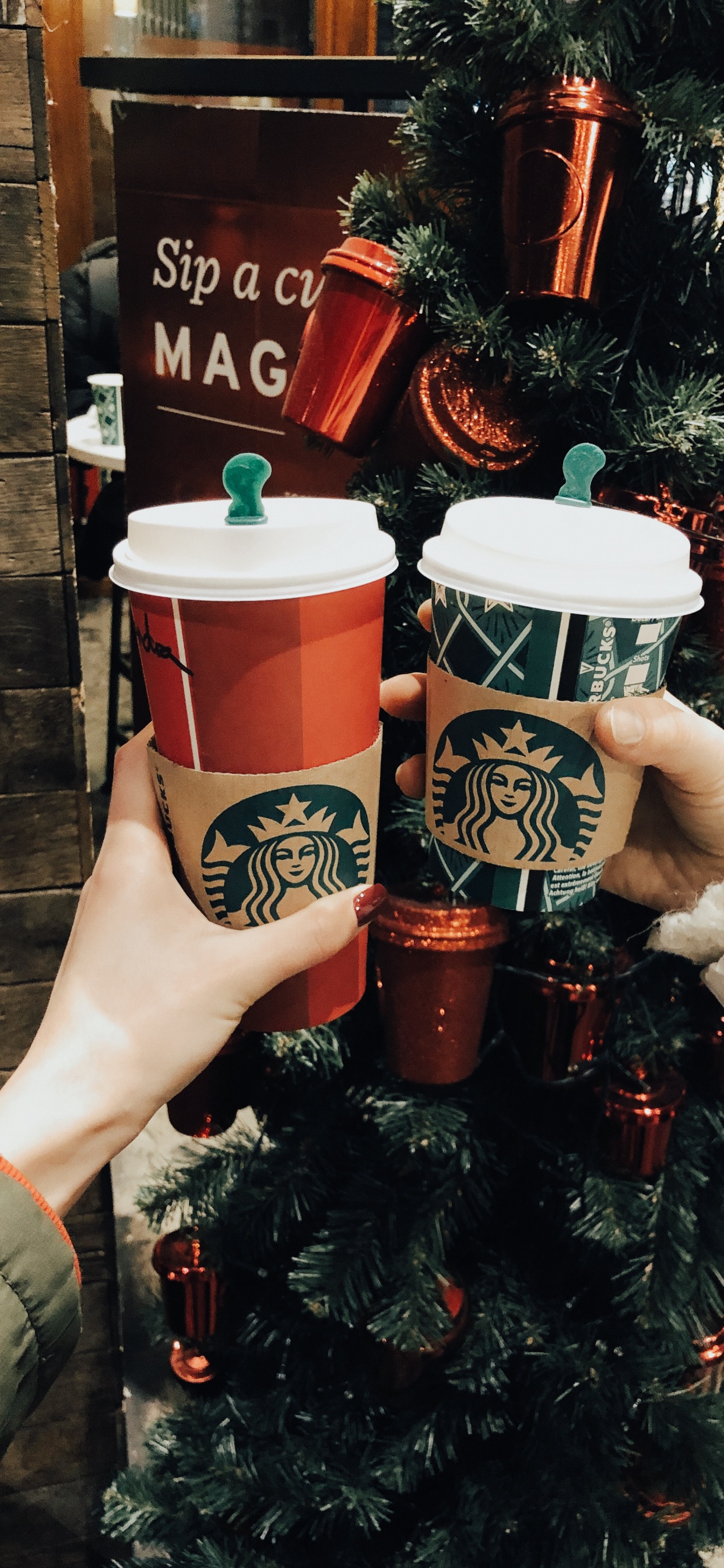 Обои новый логотип starbucks 2011, Рождественский день, Рождественские украшения, цветочный горшок, праздник в разрешении 1242x2688