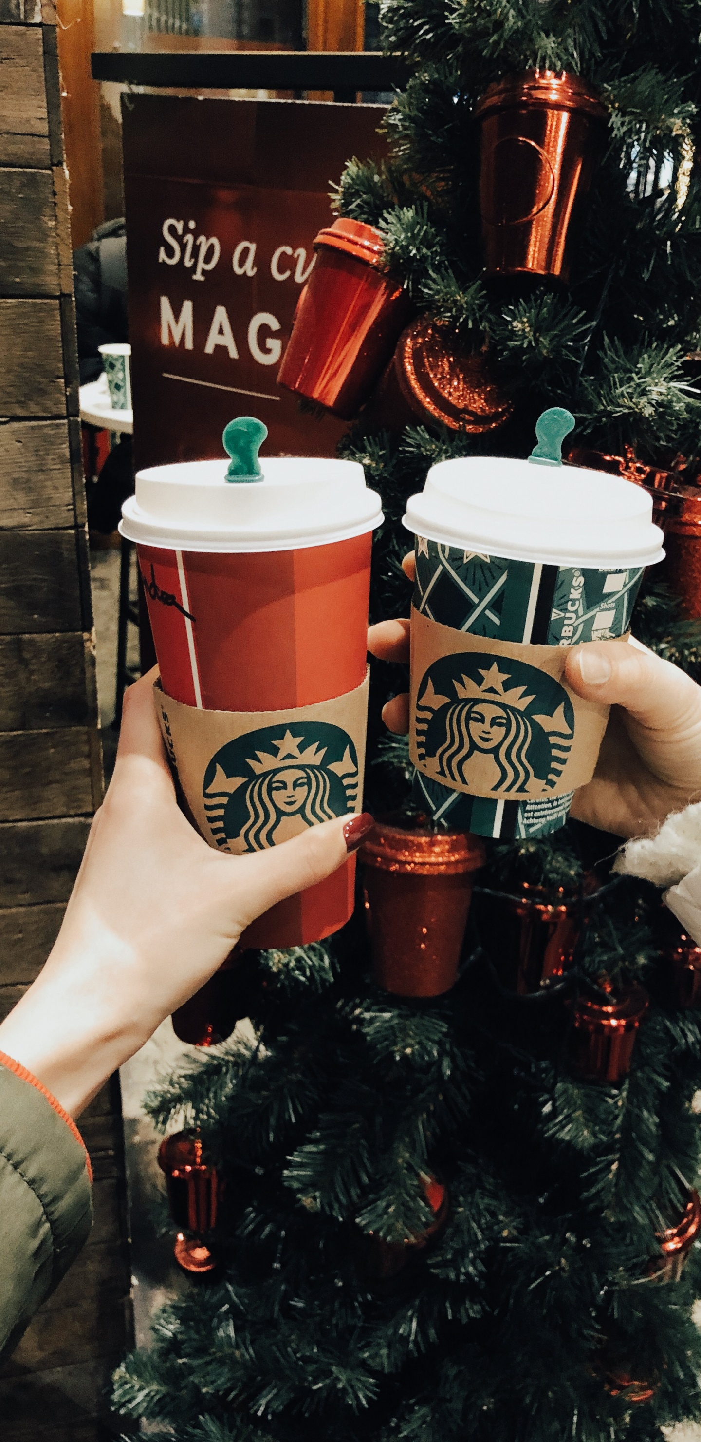 Обои новый логотип starbucks 2011, Рождественский день, Рождественские украшения, цветочный горшок, праздник в разрешении 1440x2960