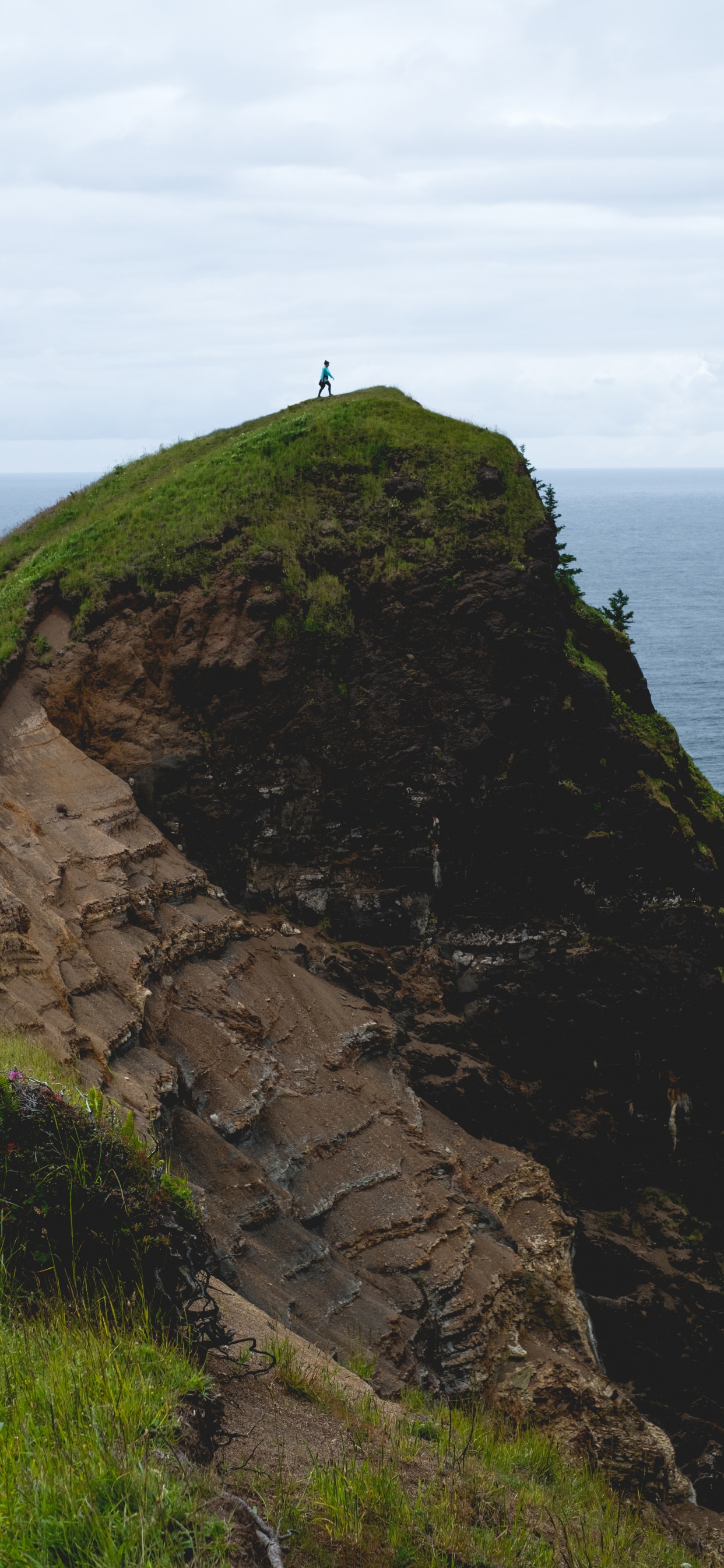 Обои обрыв, klippe, Поднятый пляж, мыс, побережье в разрешении 1242x2688