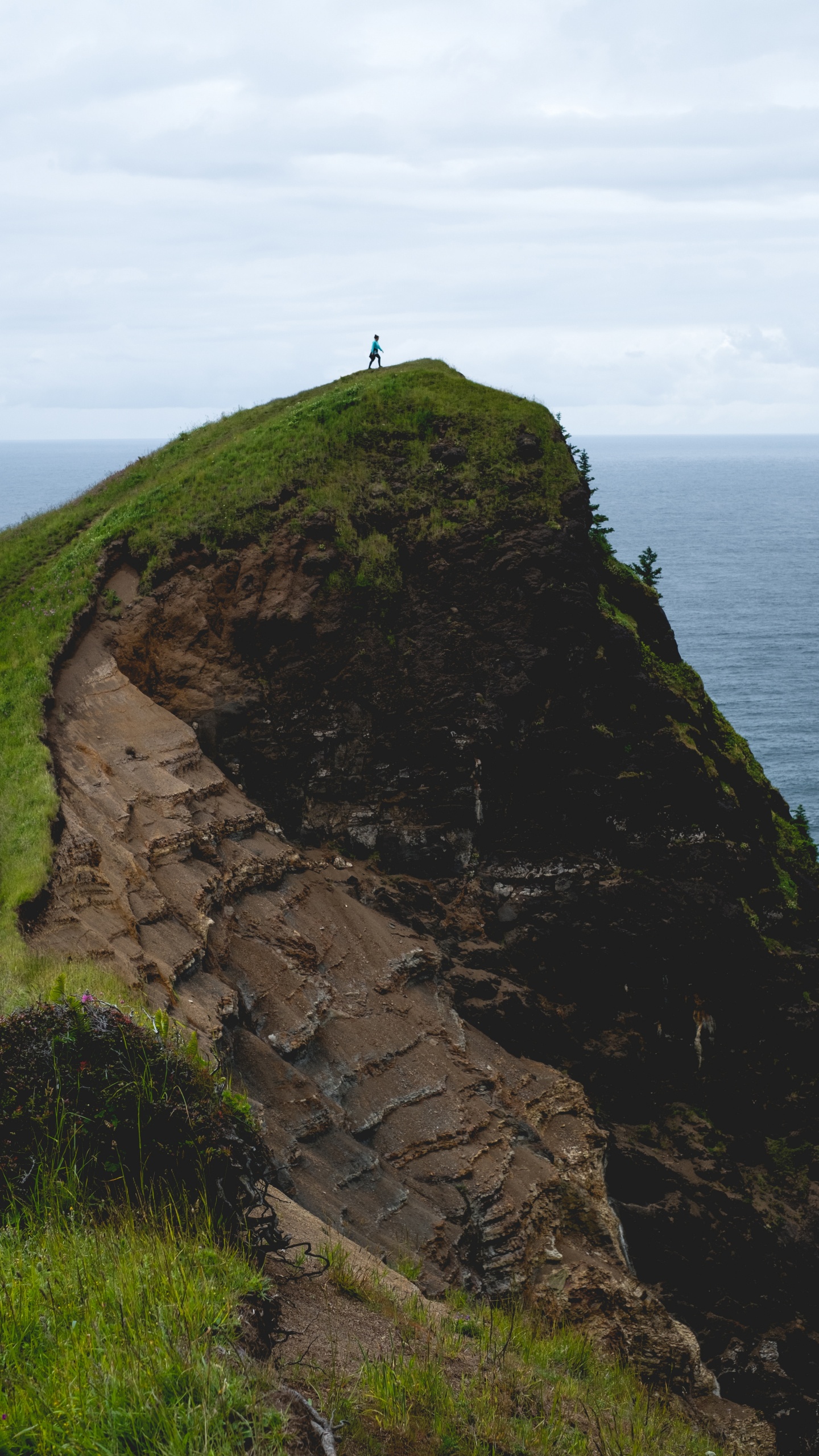 Обои обрыв, klippe, Поднятый пляж, мыс, побережье в разрешении 1440x2560