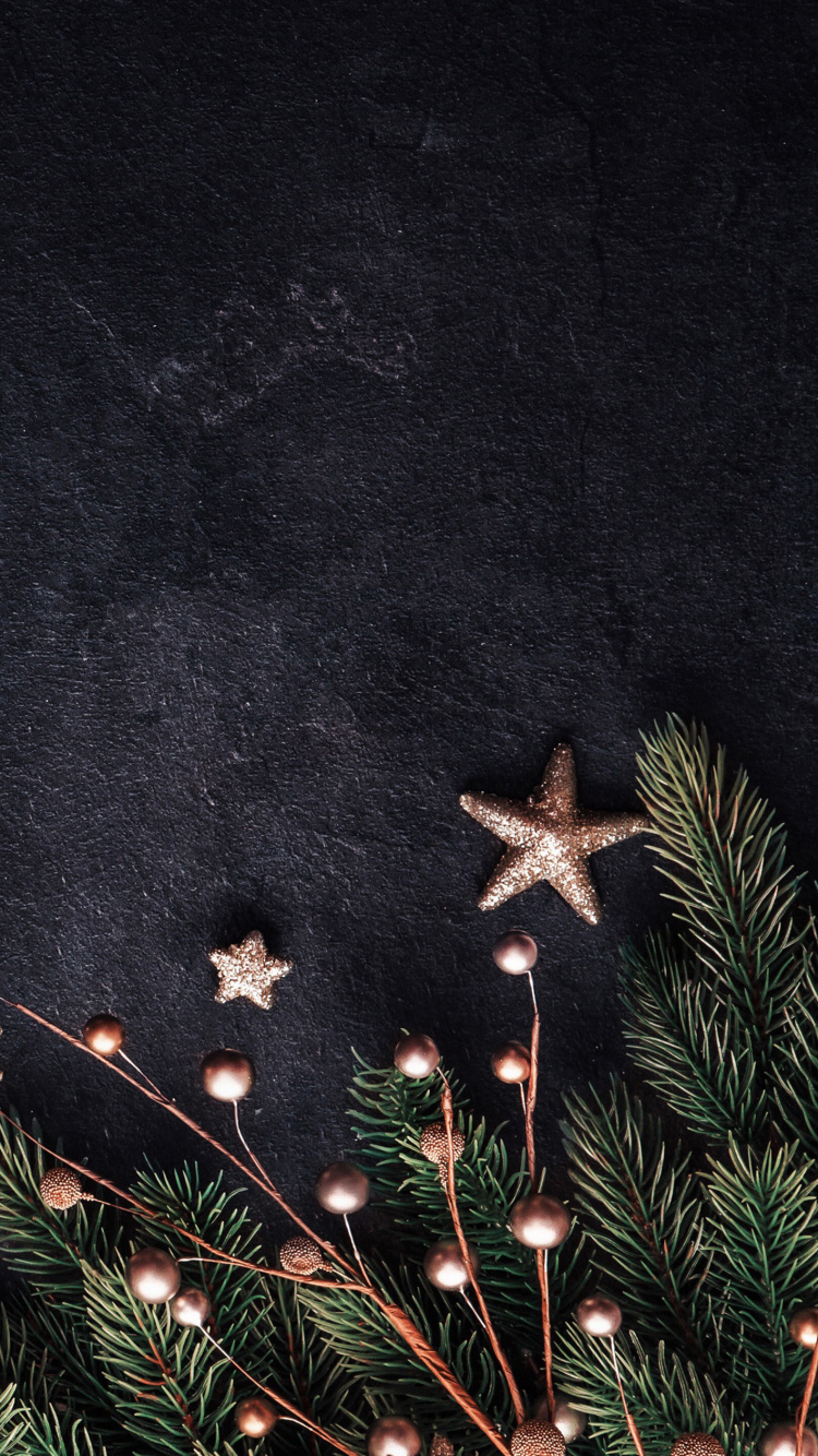 Обои Новый год, Рождество, яблоко, звезда, астрономический объект в разрешении 750x1334