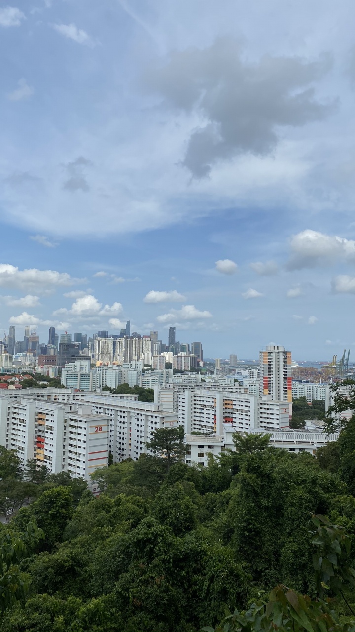 Обои дневное время, башня, городской район, соседство, свойство в разрешении 720x1280
