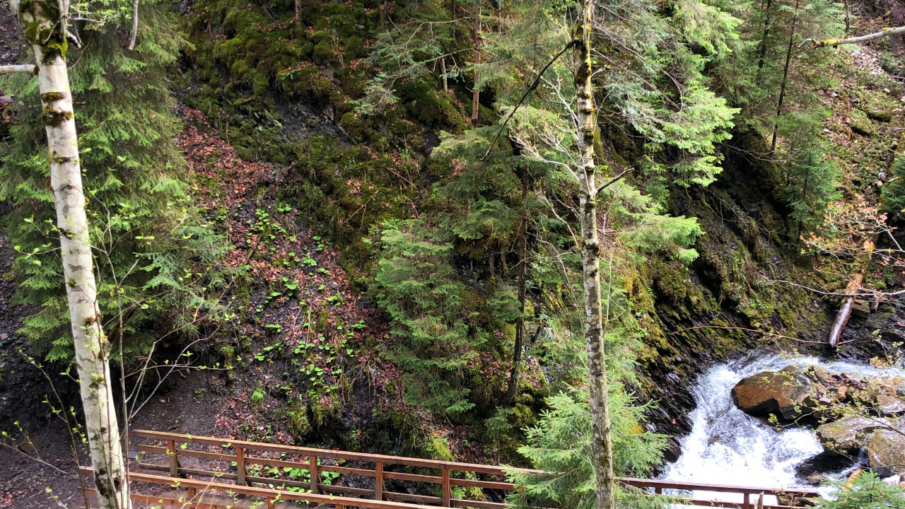 Обои природа, окружающая среда, природный ландшафт, мост, лист в разрешении 1280x720