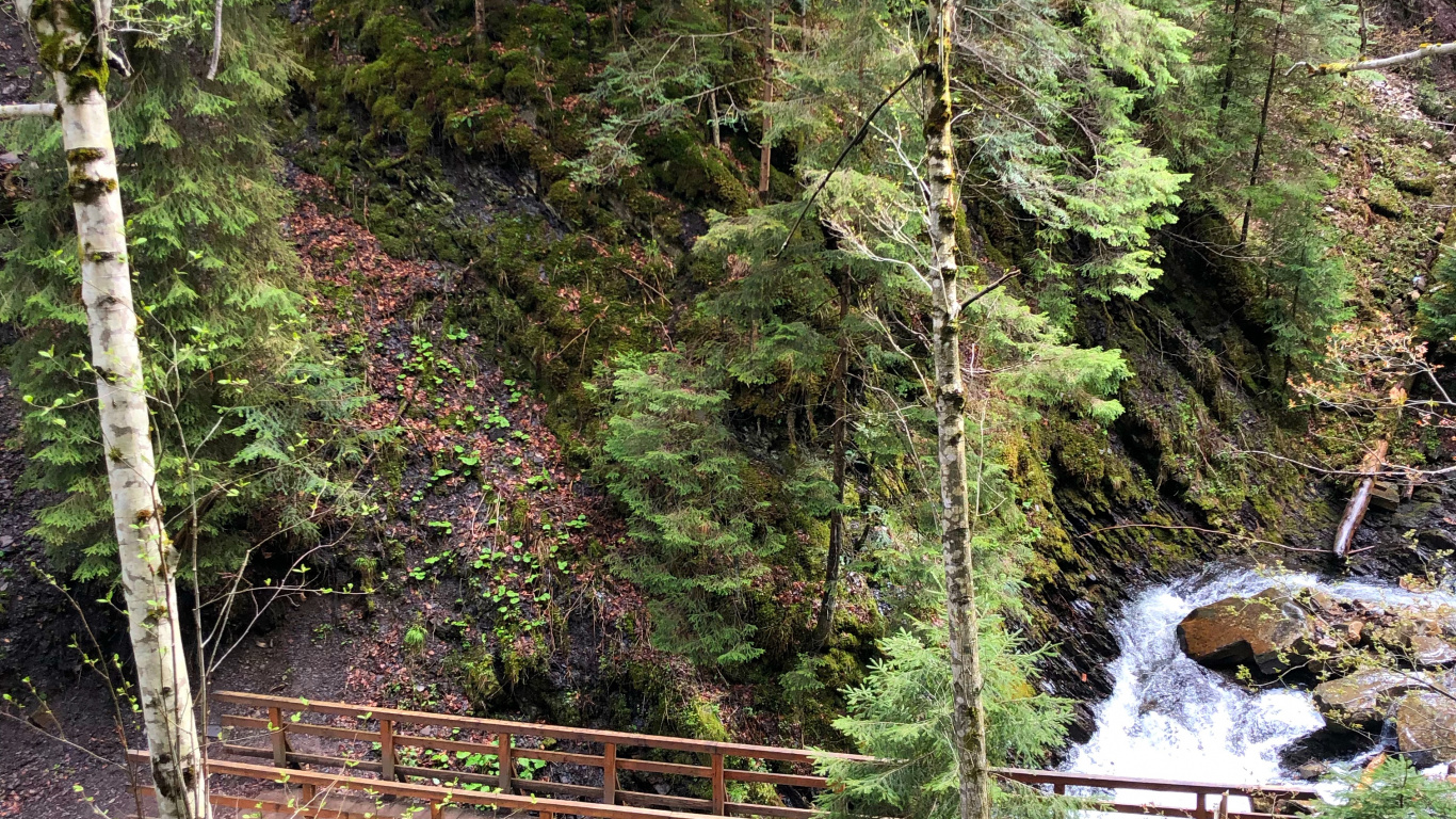 Обои природа, окружающая среда, природный ландшафт, мост, лист в разрешении 1366x768