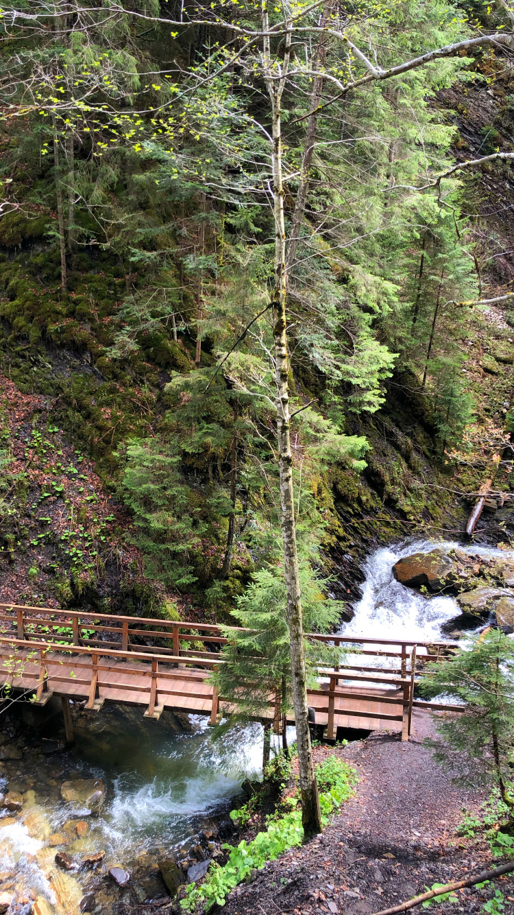 Обои природа, окружающая среда, природный ландшафт, мост, лист в разрешении 750x1334