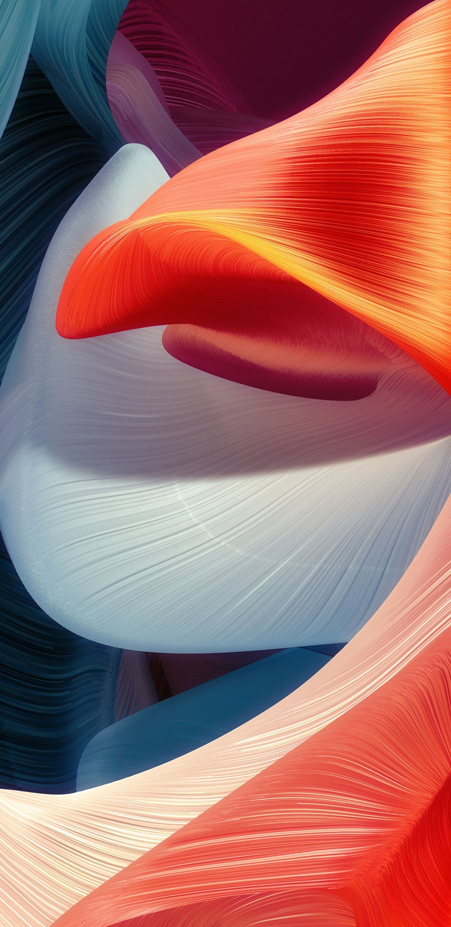 Обои яблоко, волосы, глаз, свет, человеческое тело в разрешении 1440x2960