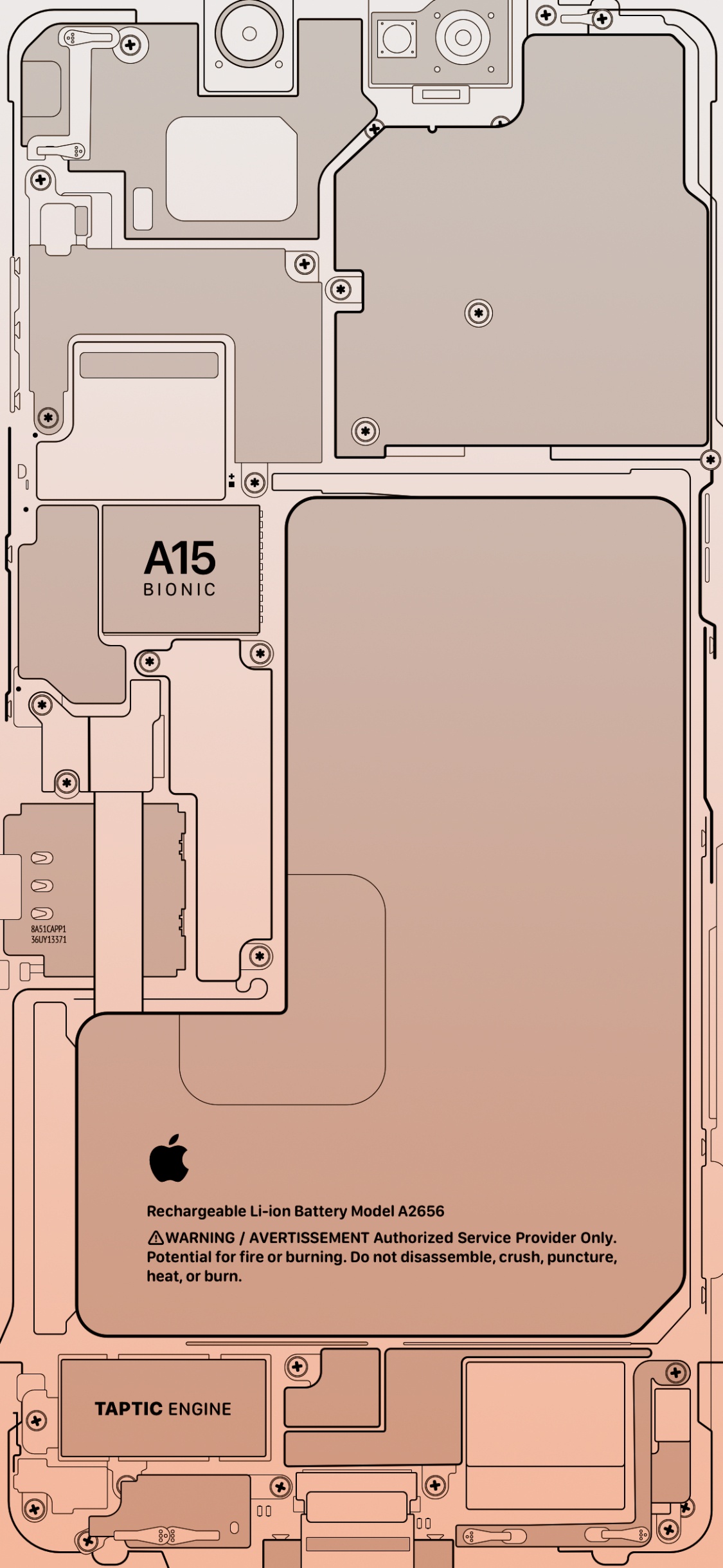 Обои Эпл, apple, iPhone, 15 бионических, параллель в разрешении 1125x2436