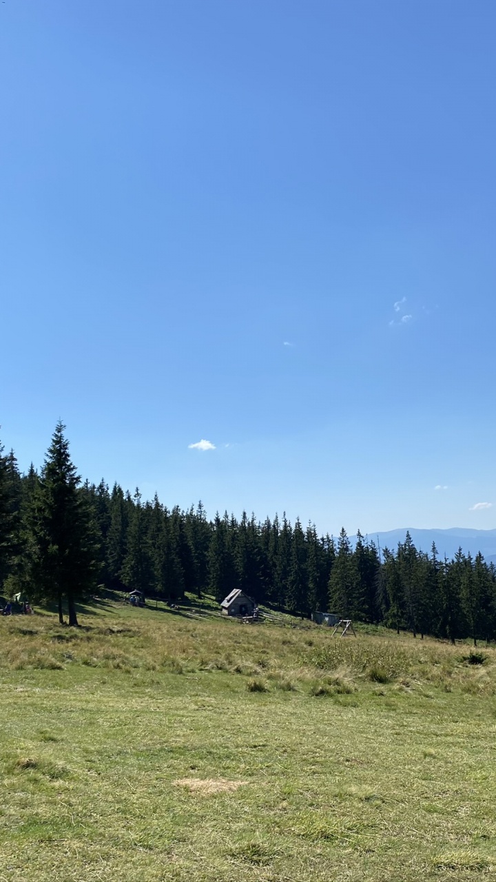 Обои водоем, дорога, горный рельеф, природа, растительность в разрешении 720x1280