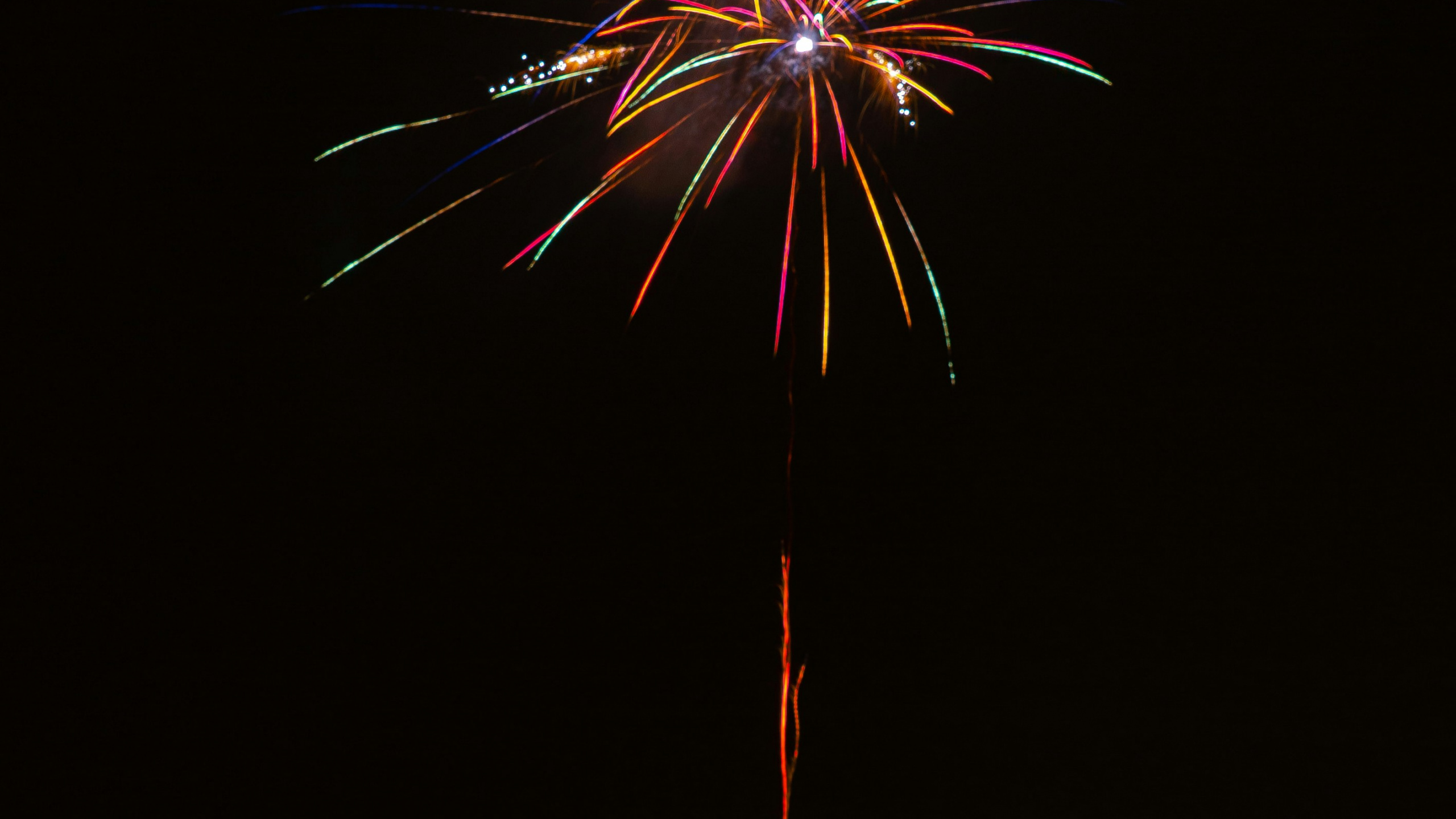 Обои салют, Новый год, вечеринка, канун Нового года, ночь в разрешении 2560x1440