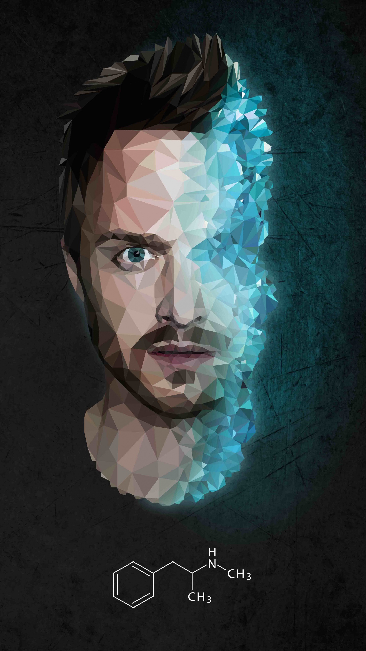 Обои Джесси Пинкман, Аарон Пол, Во все тяжкие, Уолтер Уайт, иллюстрация в разрешении 1440x2560